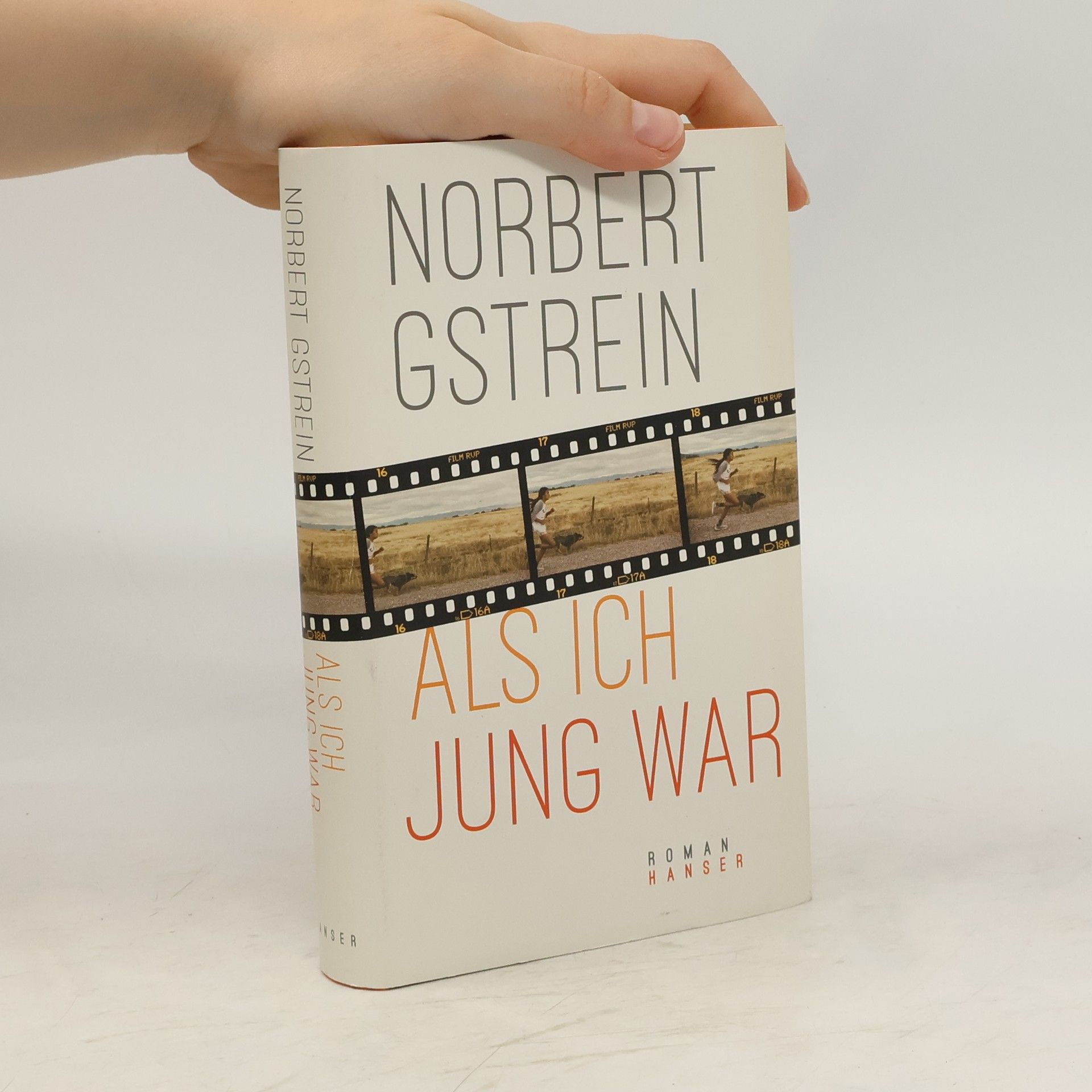 Norbert Gstrein Als ich jung war