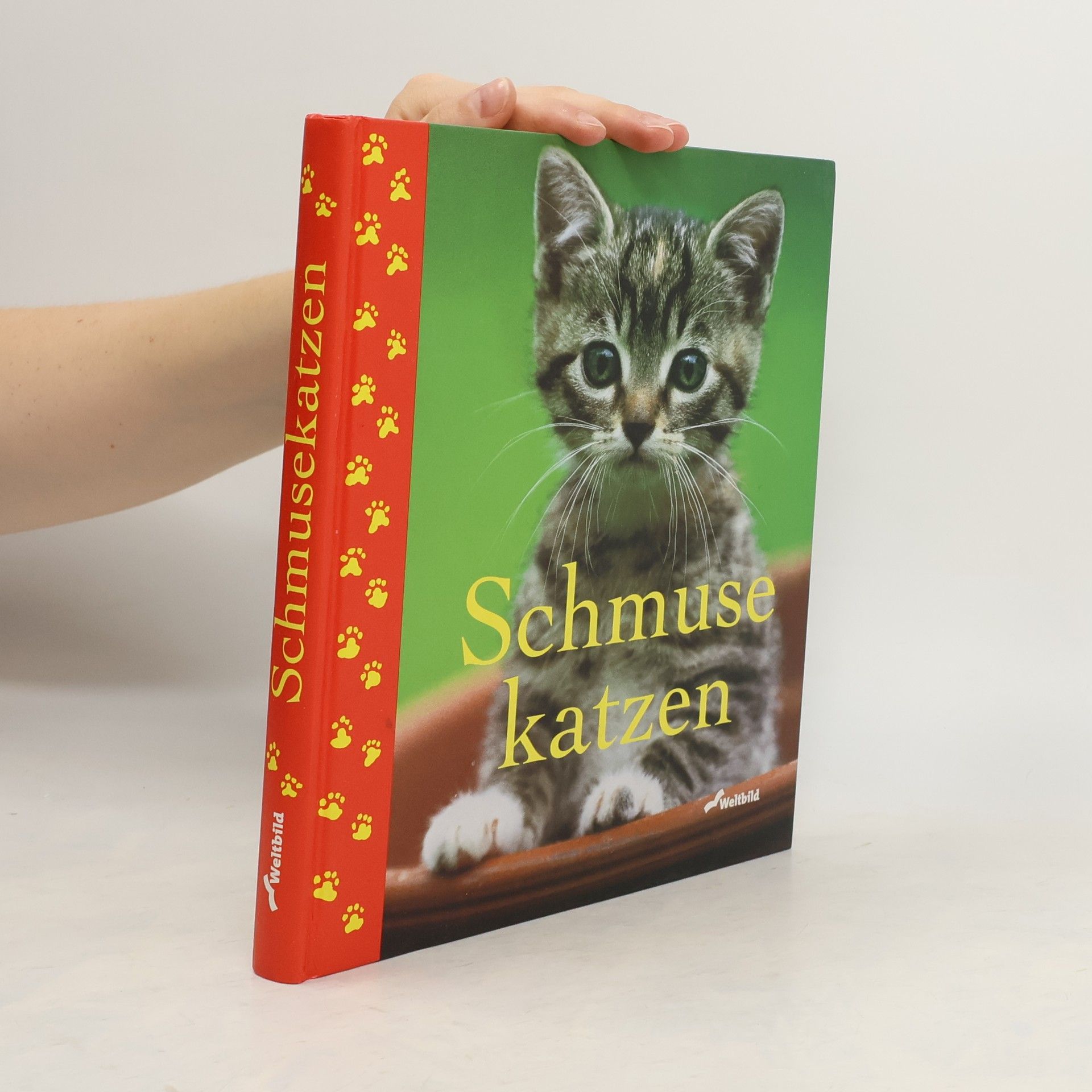 Monika Auberger Schmuse katzen