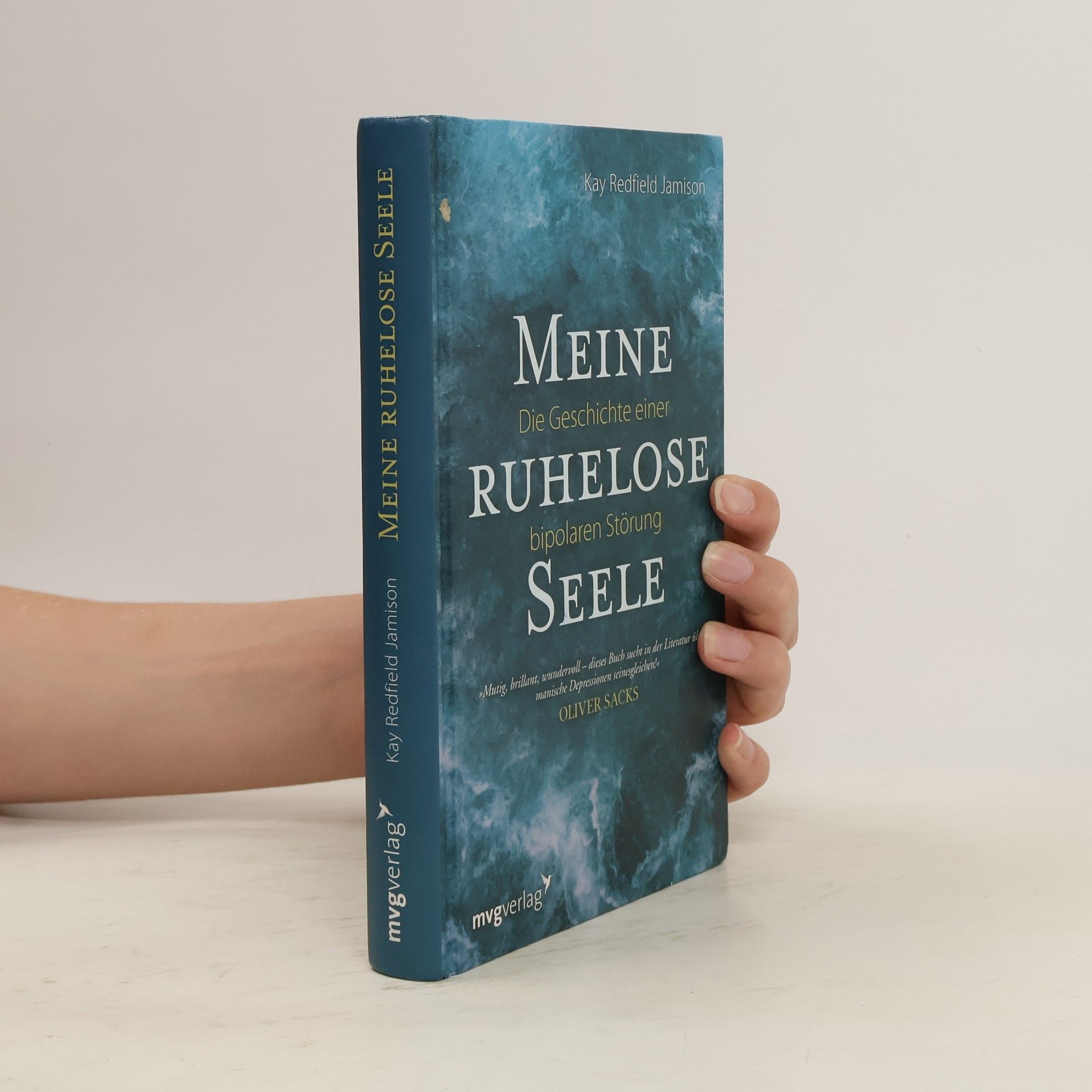 Kay Redfield Jamison Meine ruhelose Seele