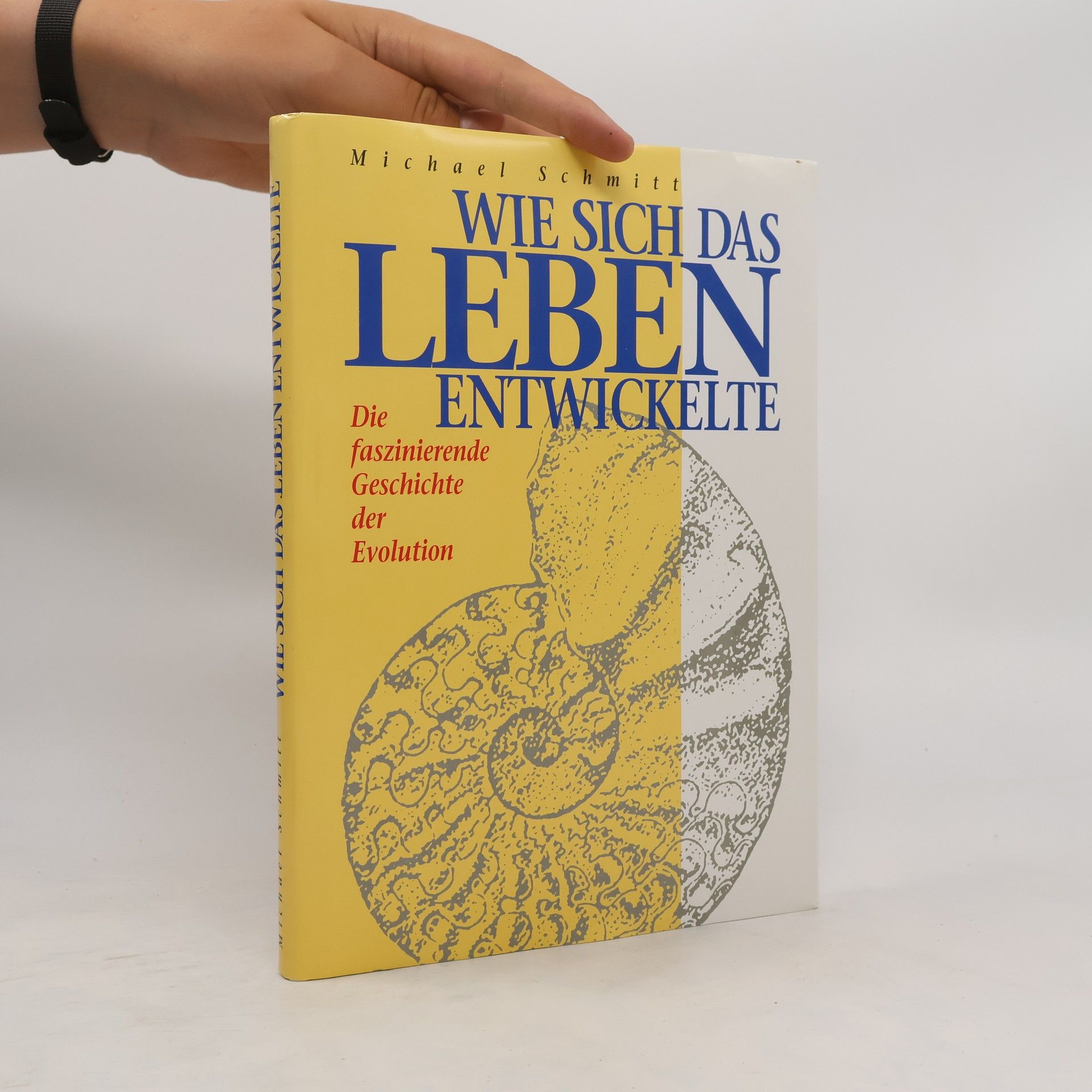 Michael Schmitt Wie dich das Leben entwickelte