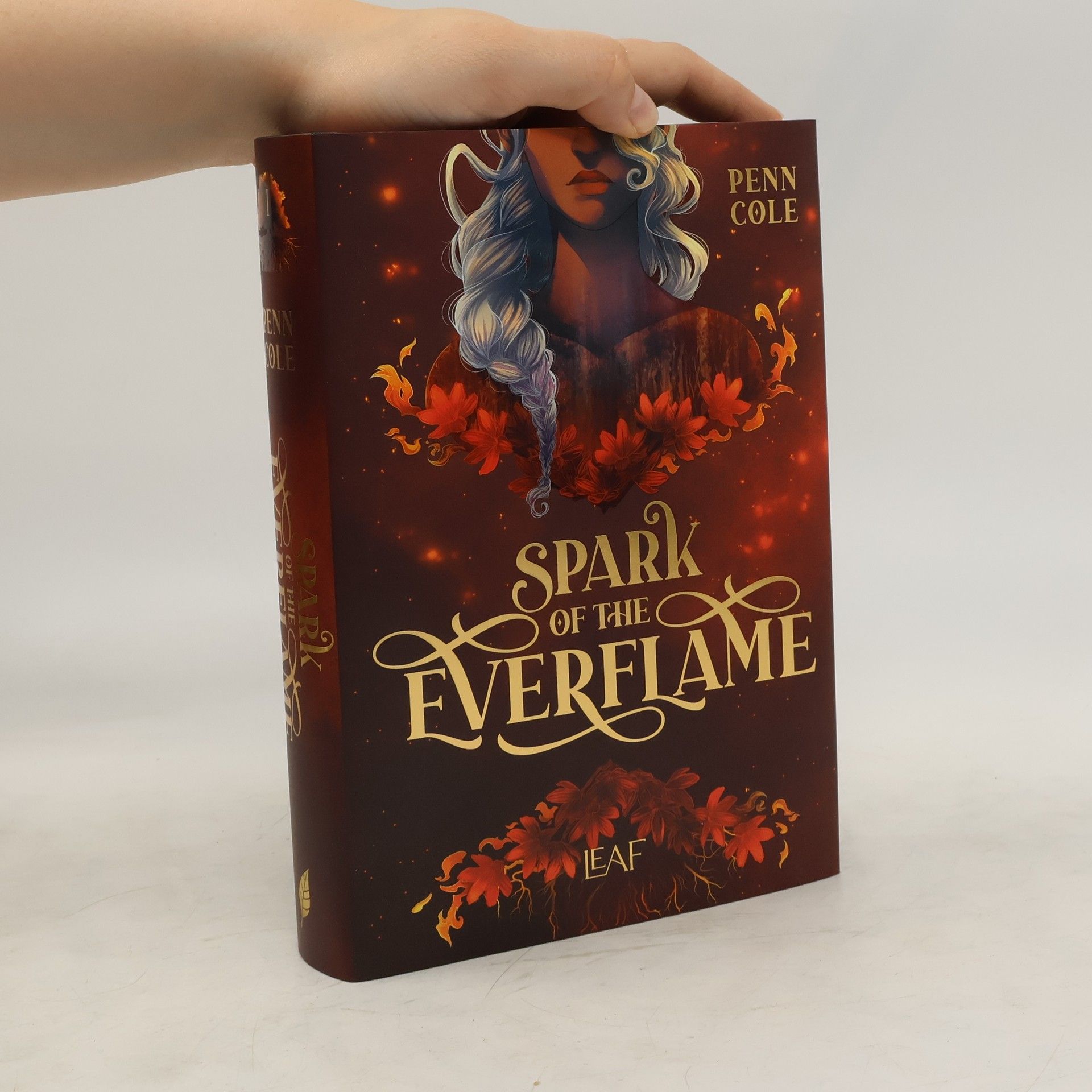 Penn Cole Spark of the Everflame / Kindred´s Curse Saga Bd.1