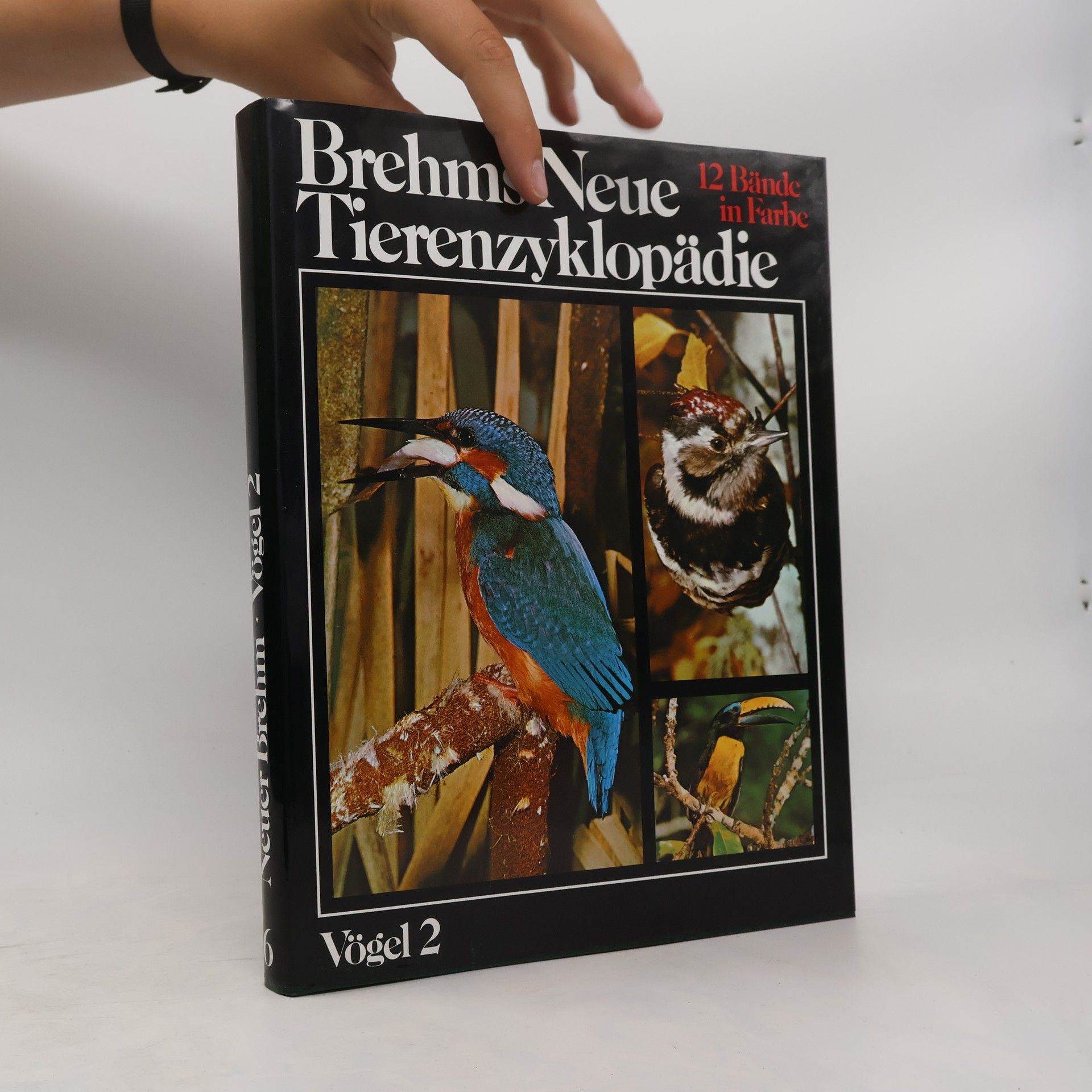 Alfred Edmund Brehm Brehms neue Tierenzyklopädie. Vögel 2