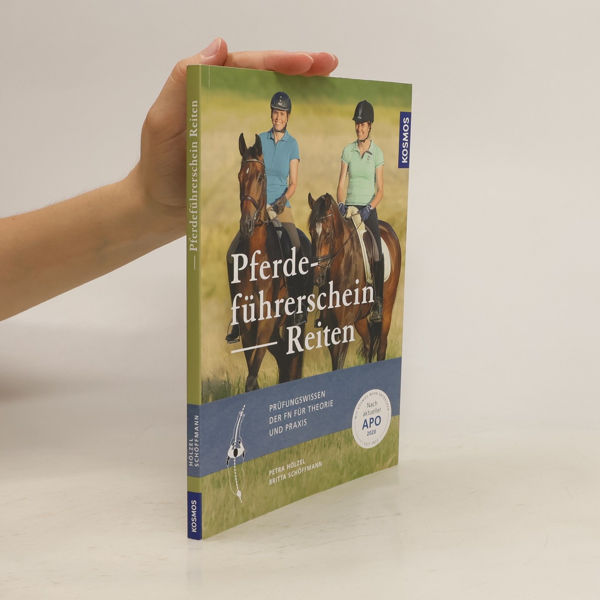 Petra Hölzel Pferdeführerschein Reiten
