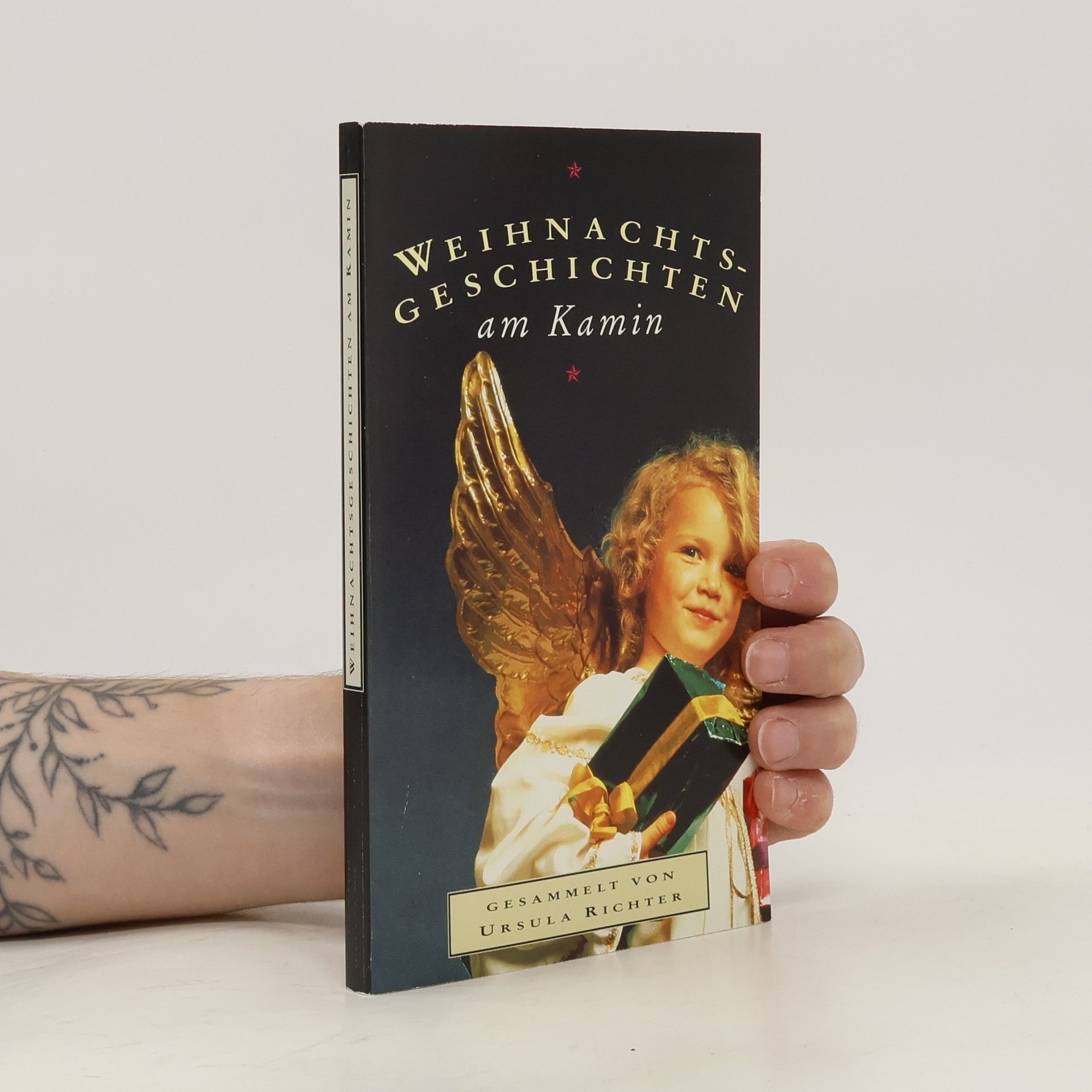 Collectif d'auteurs Weihnachtsgeschichten am Kamin