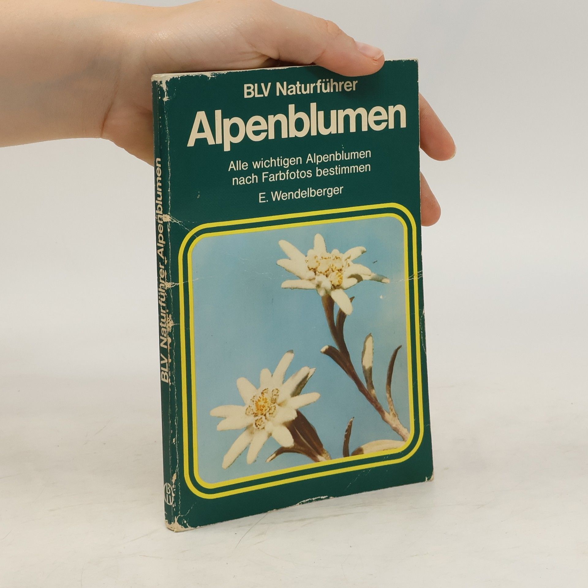 Elfrune Wendelberger Alpenblumen