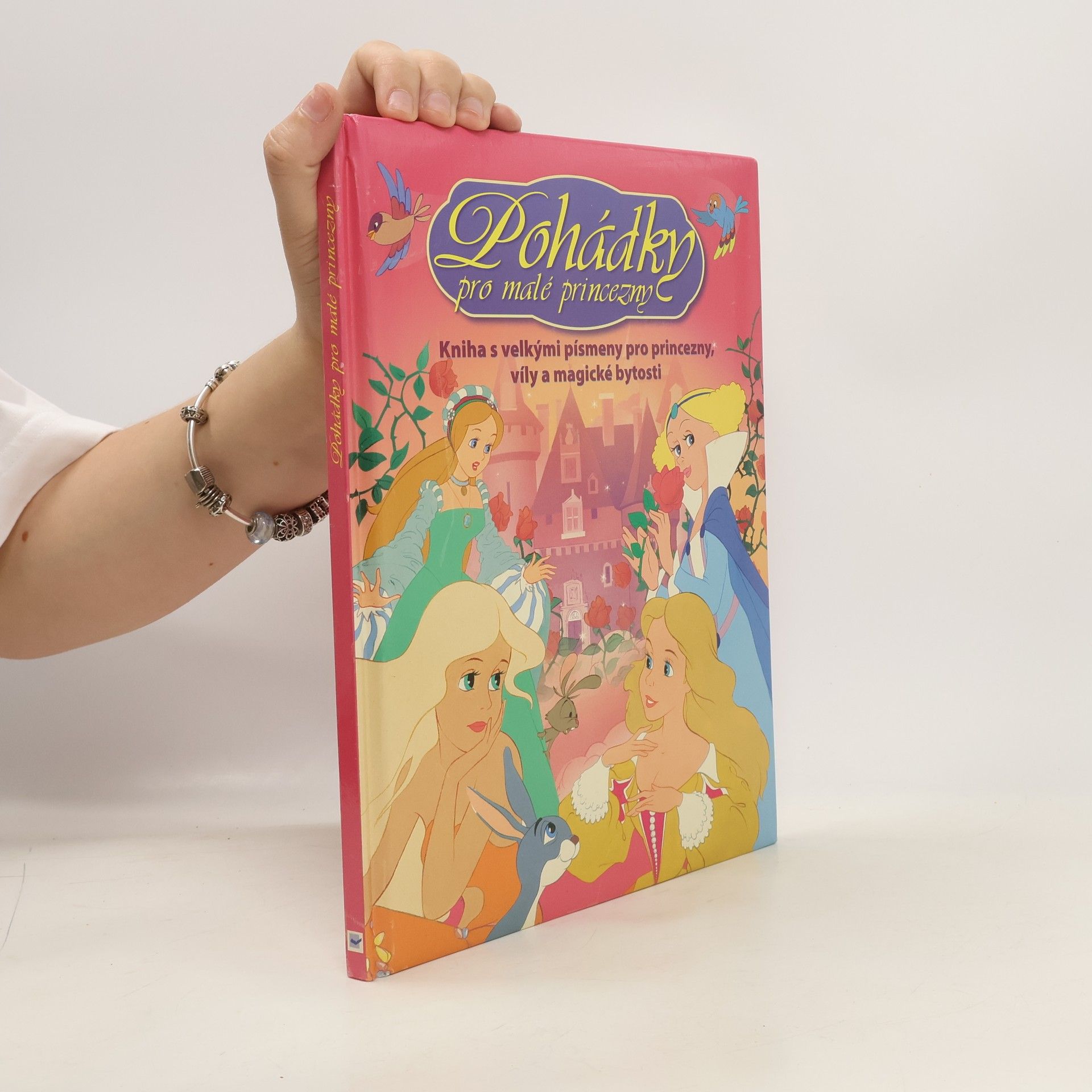 Van Gool Pohádky pro malé princezny