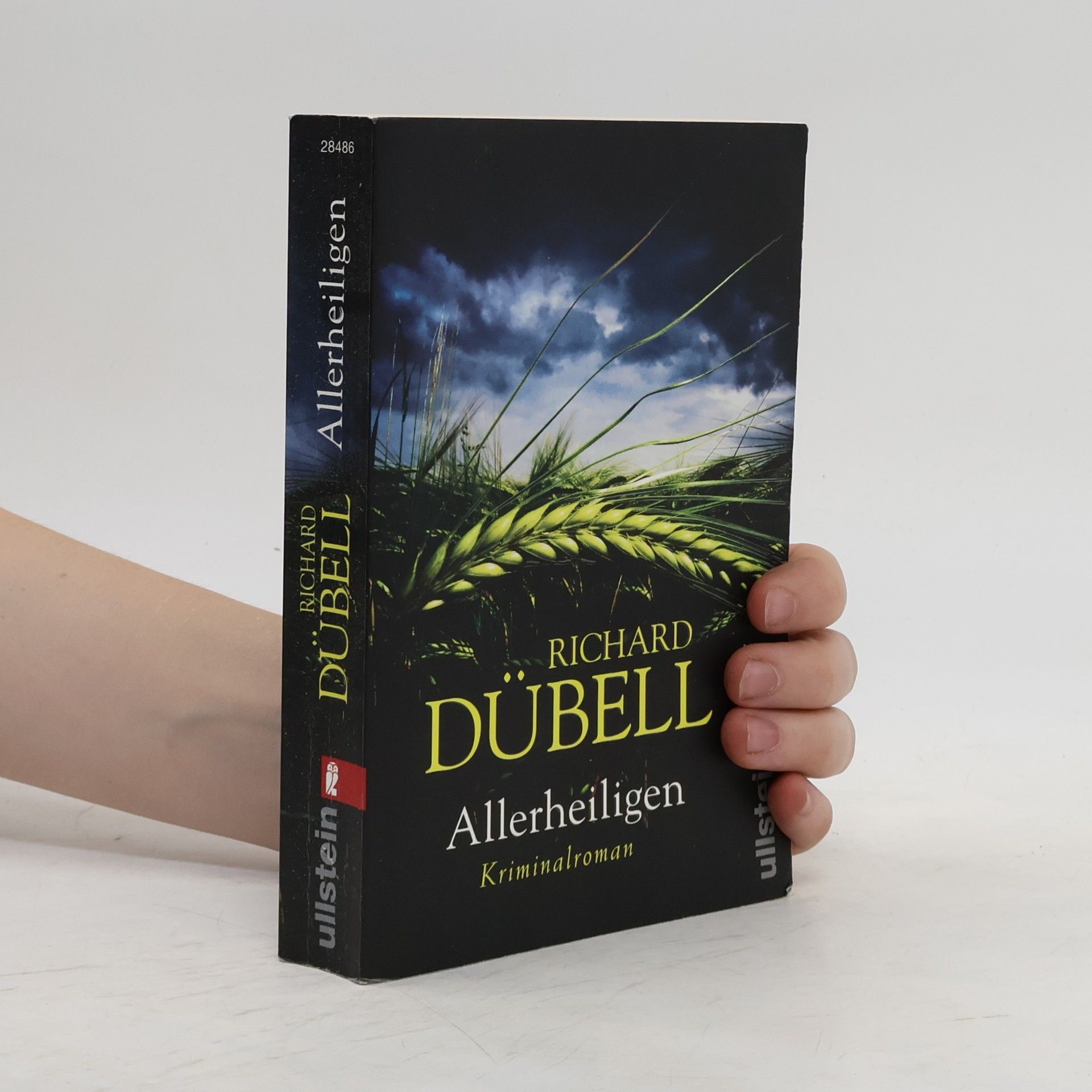 Richard Dübell Allerheiligen