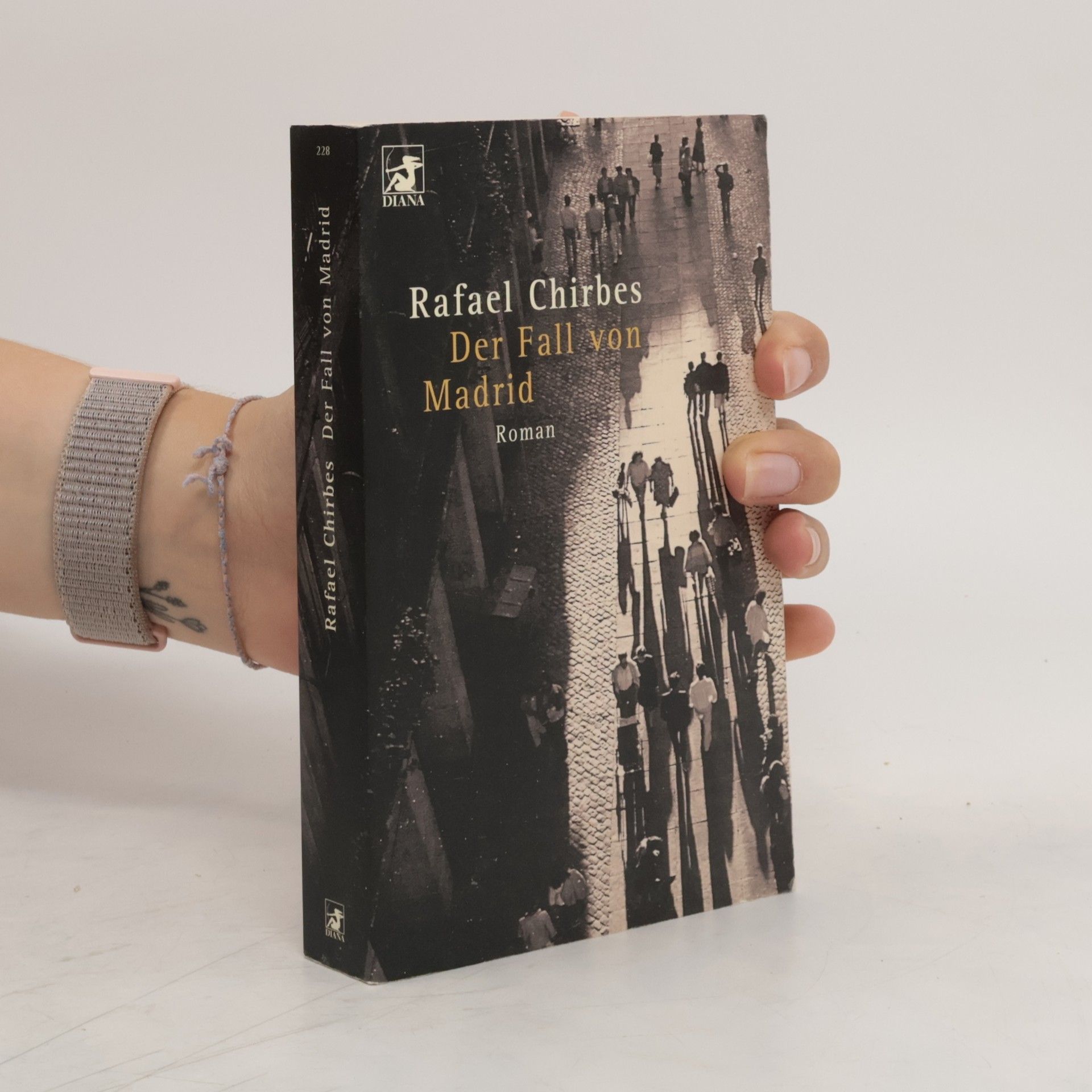 Rafael Chirbes Der Fall von Madrid