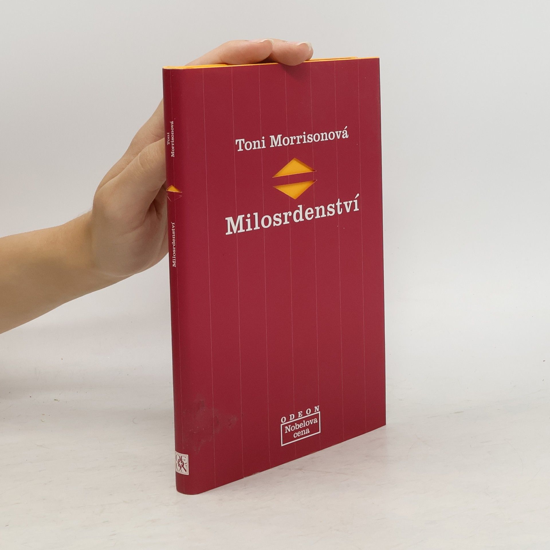 Toni Morrison Milosrdenství