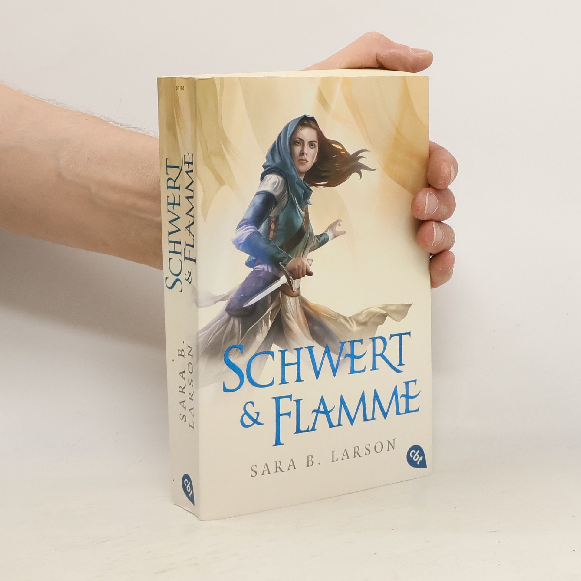 Sara B. Larson Schwert und Flamme
