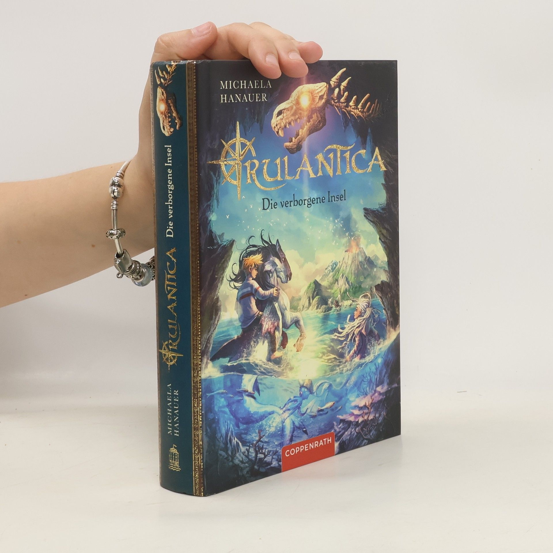 Michaela Hanauer Die verborgene Insel