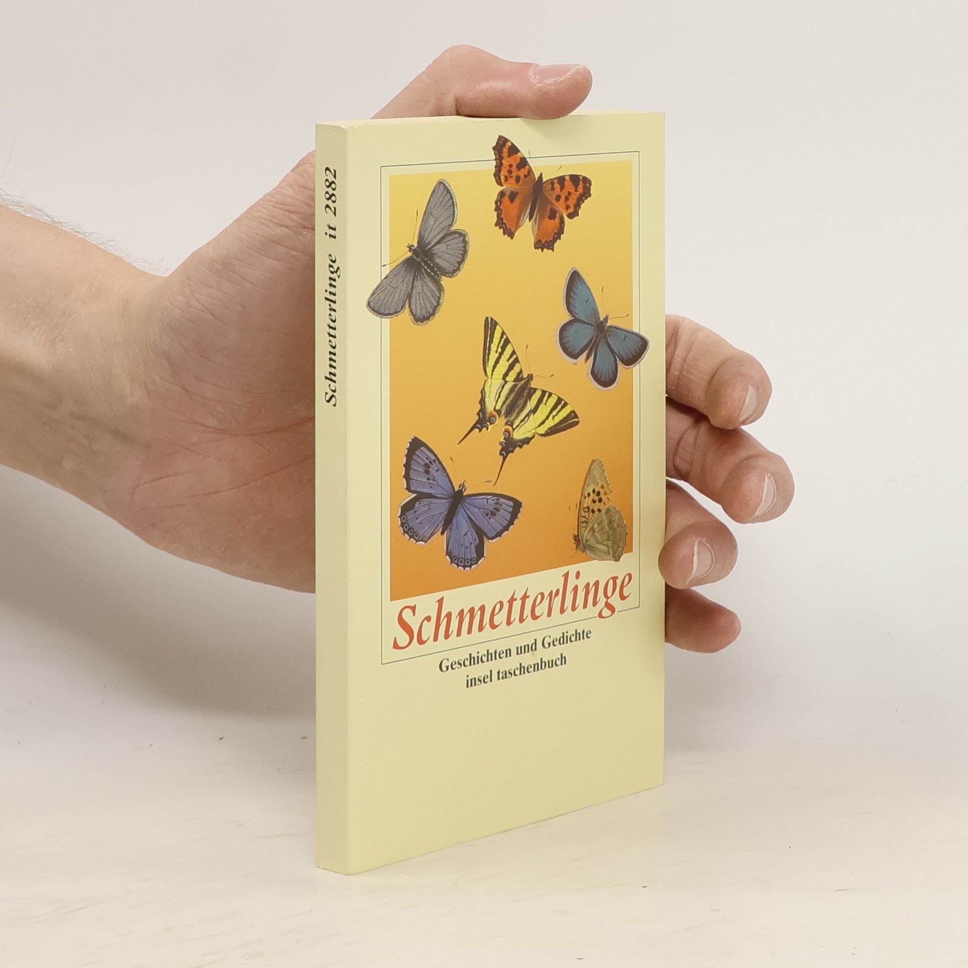 Simone Frieling Schmetterlinge