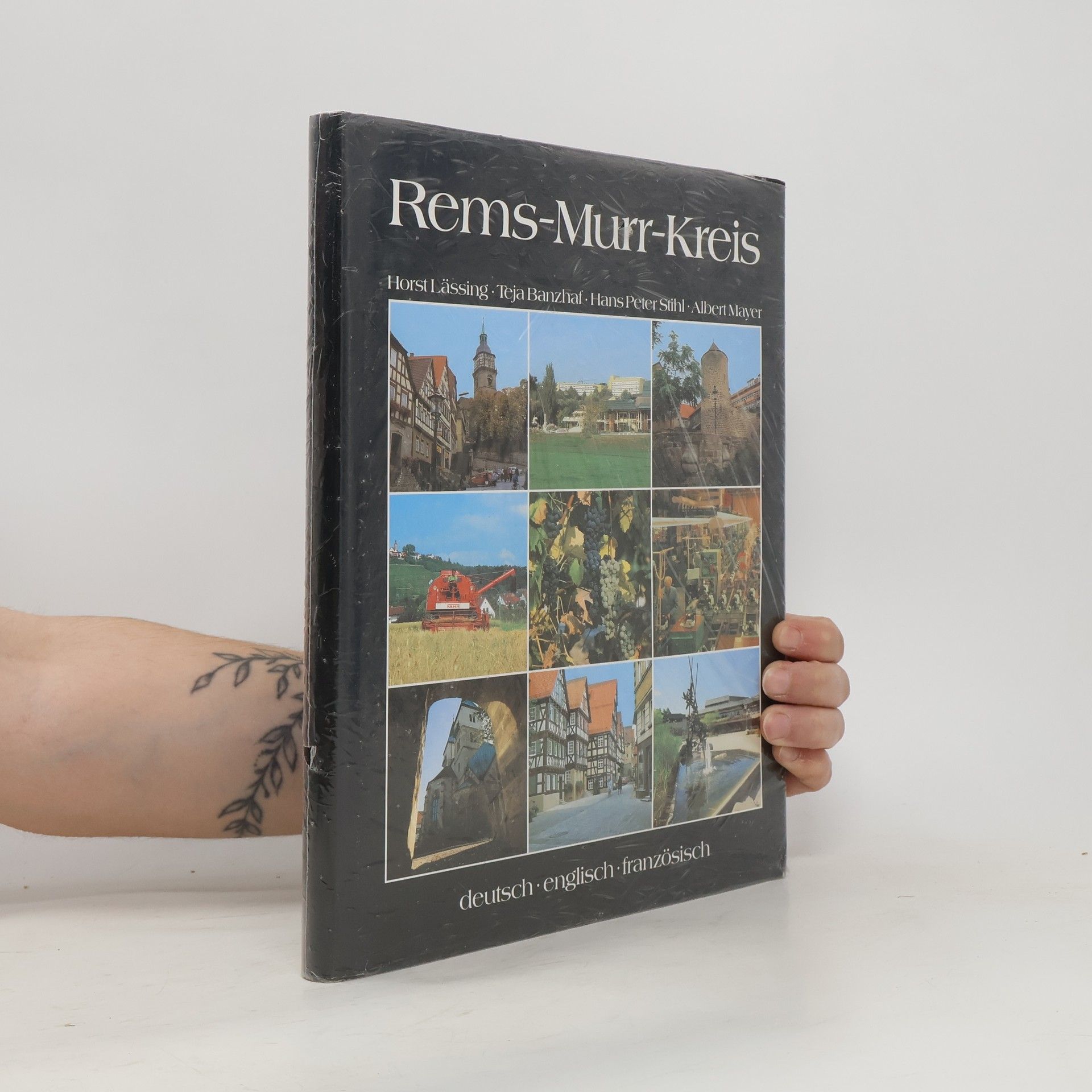 Horst Lässing Rems-Murr-Kreis