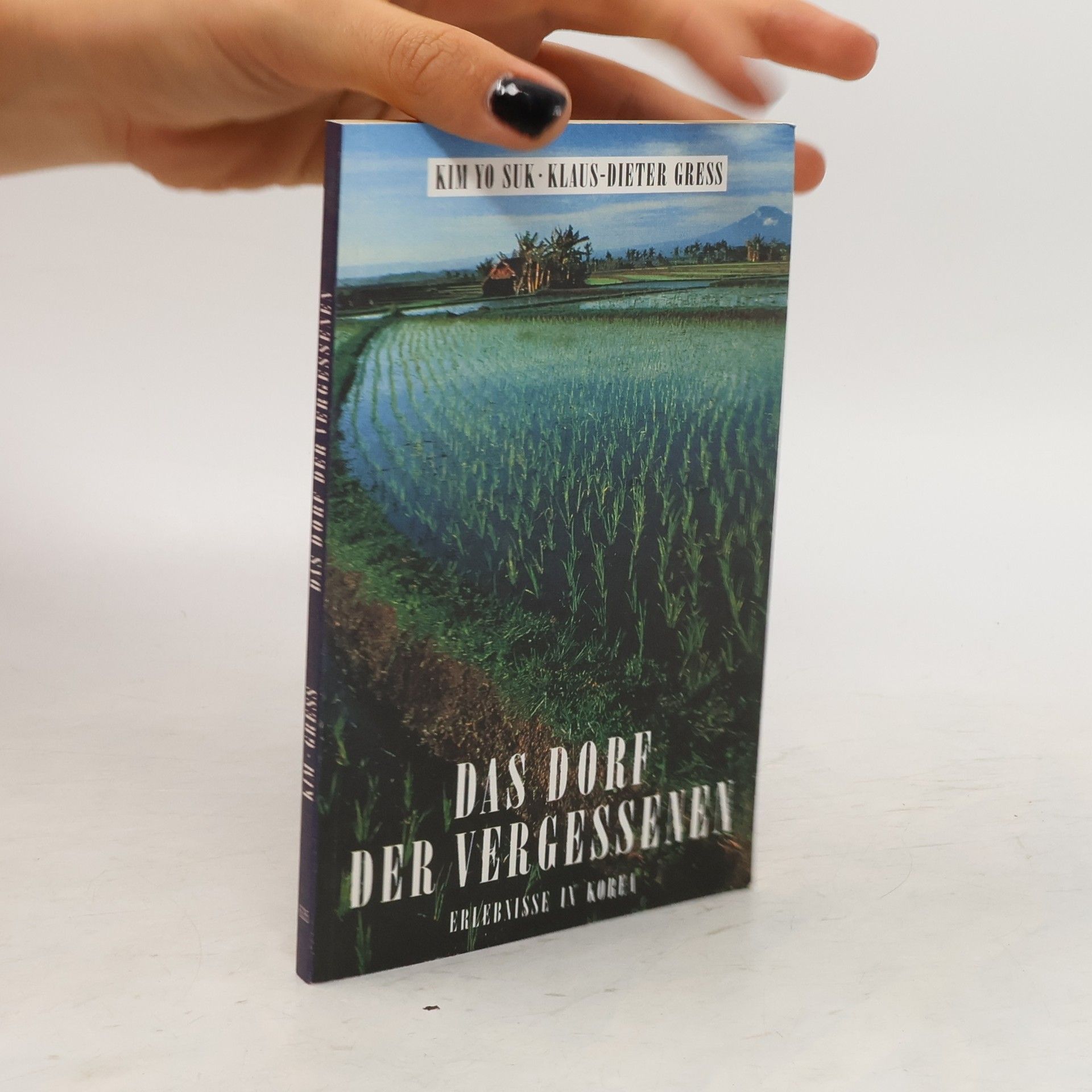 Yo Suk Kim Das Dorf der Vergessenen
