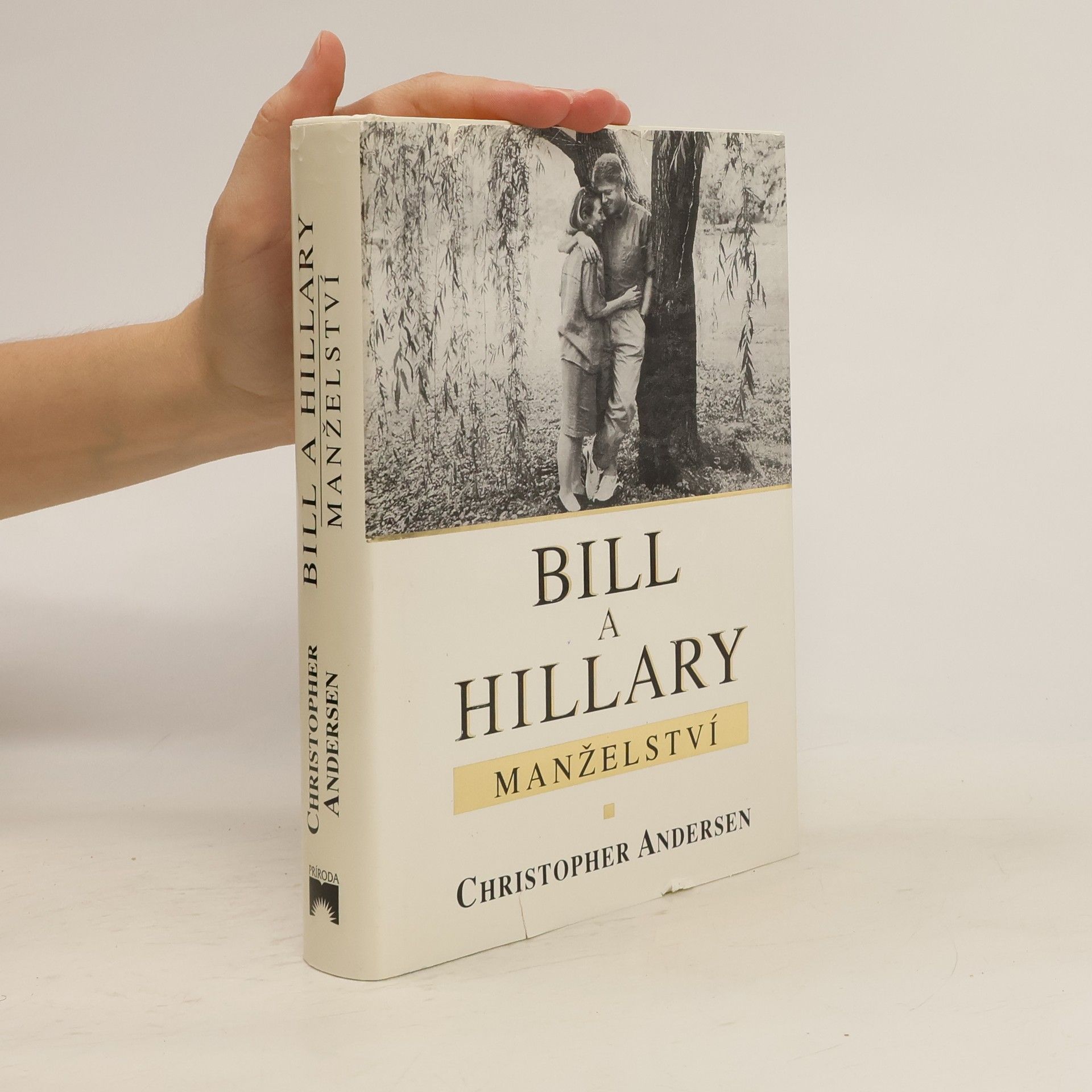 Christopher Andersen Bill a Hillary: manželství