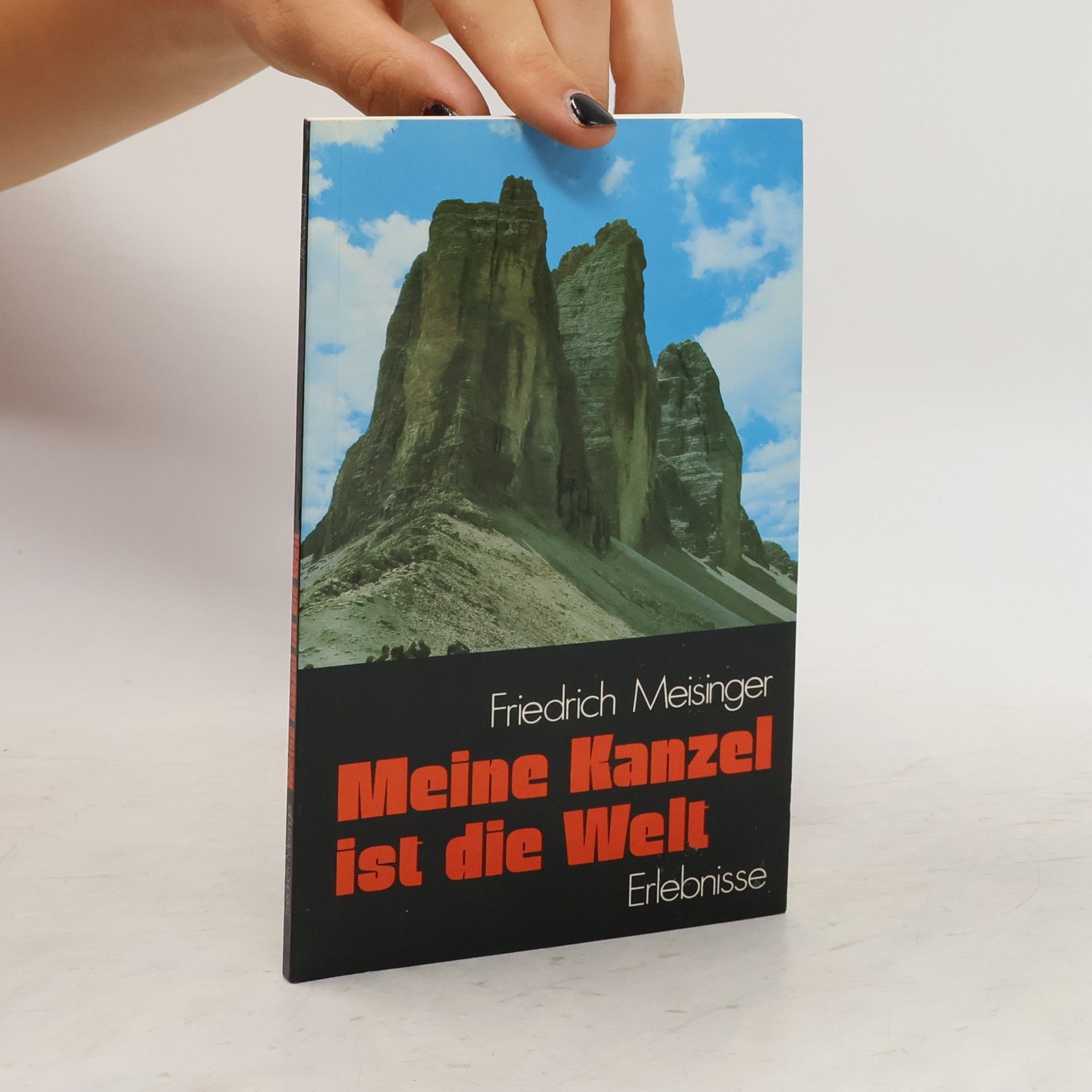 Friedrich Meisinger Meine Kanzel ist die Welt