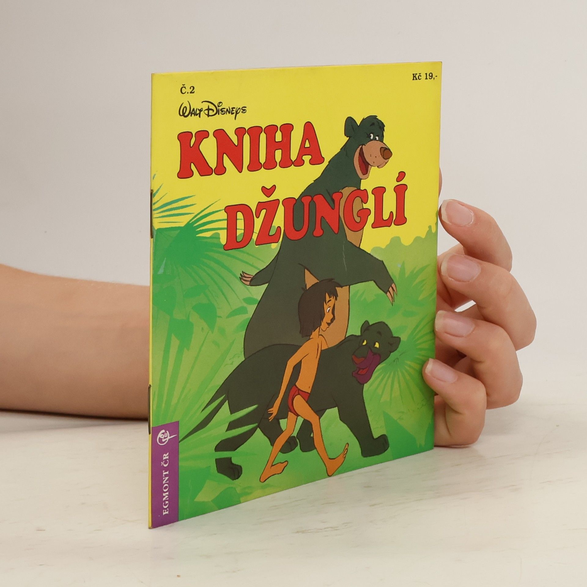 AA.VV. Kniha džunglí