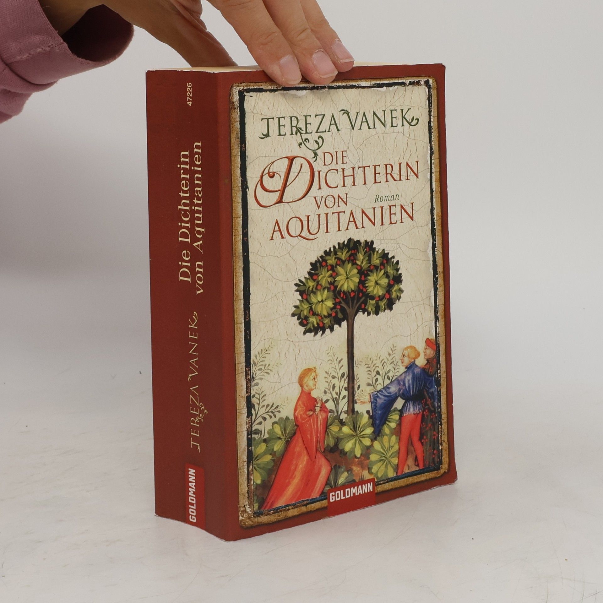 Tereza Vanek Die Dichterin von Aquitanien