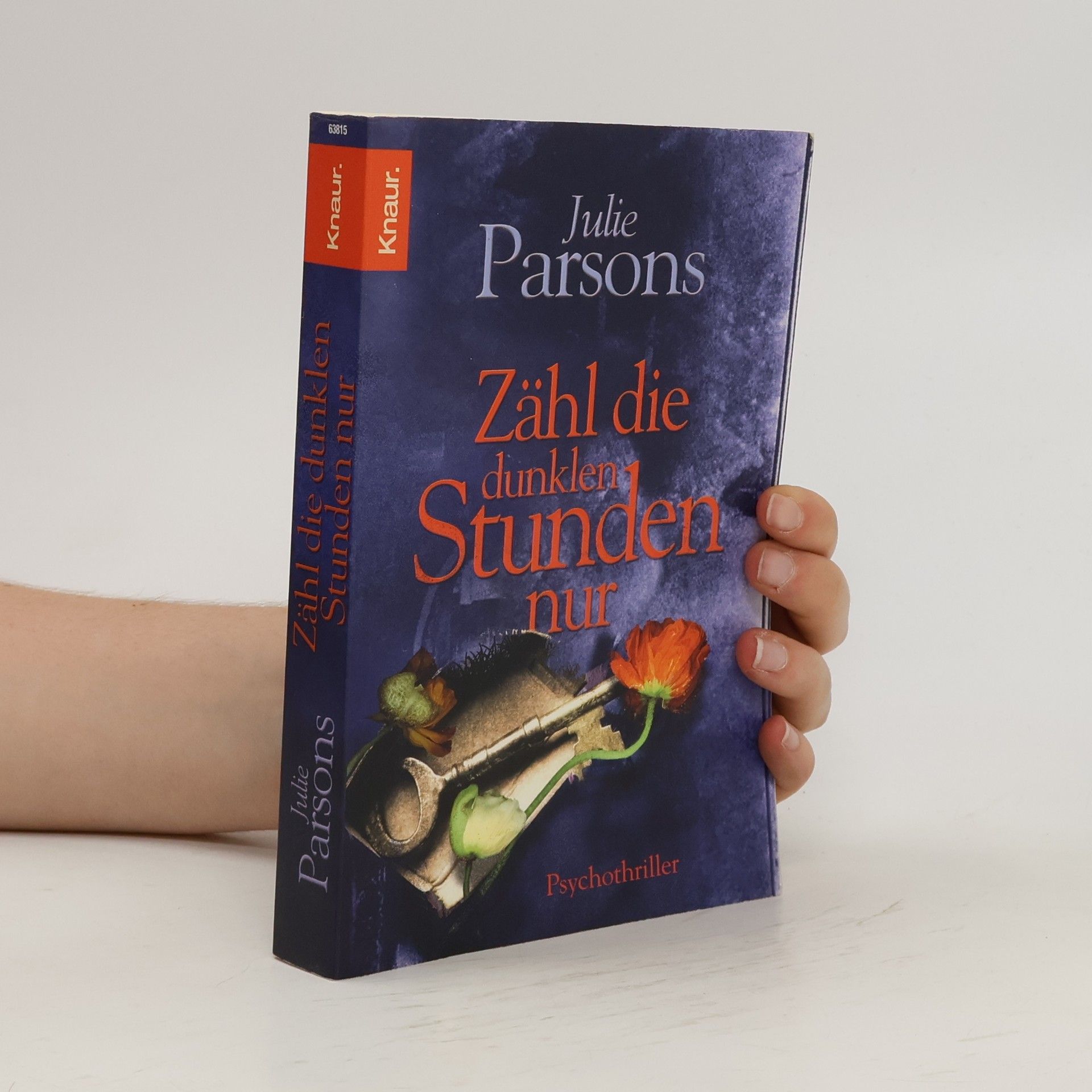 Julie Parsons Zähl die dunklen Stunden nur