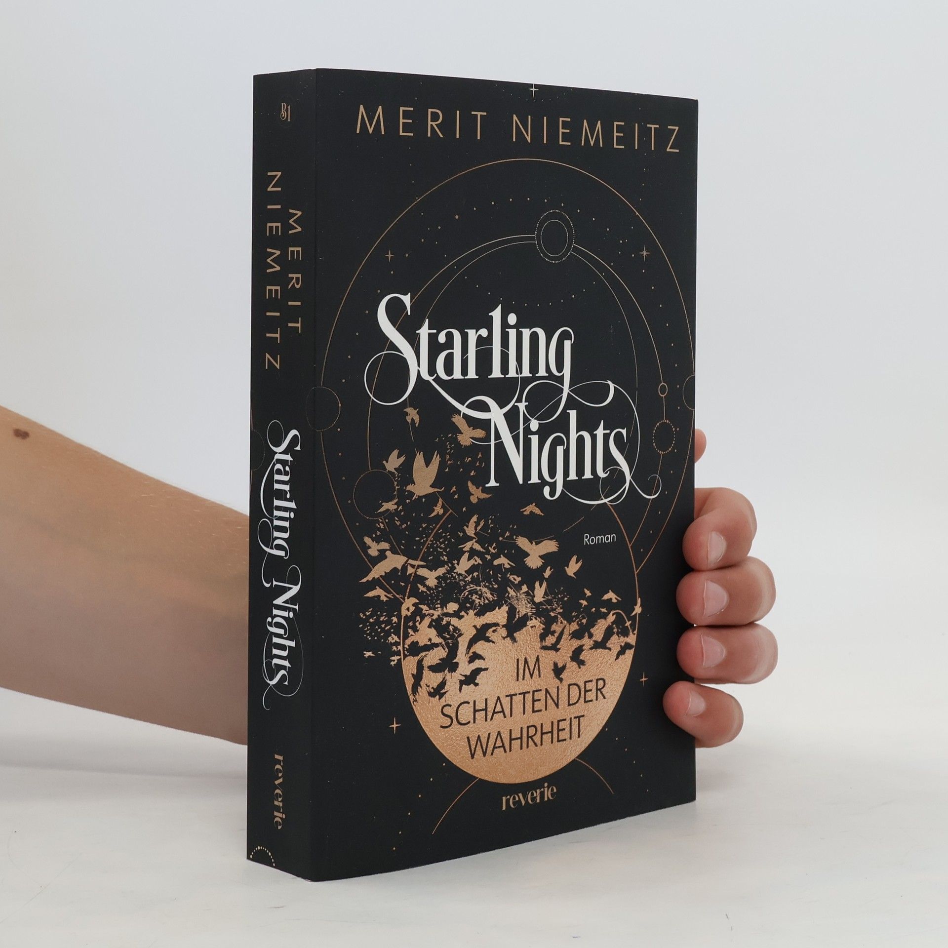 Merit Niemeitz Starling Nights 1