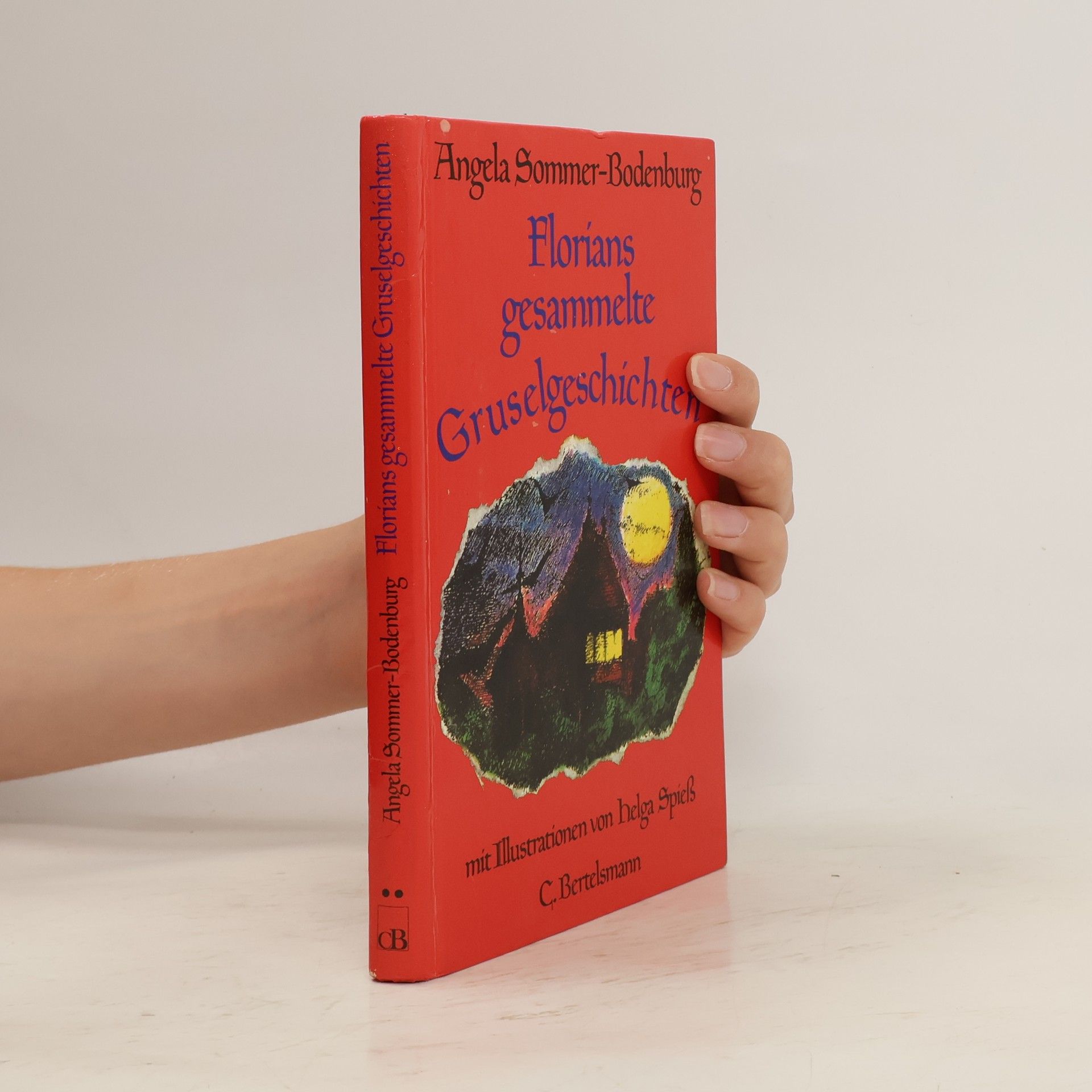 Angela Sommer-Bodenburg Florians gesammelte Gruselgeschichten
