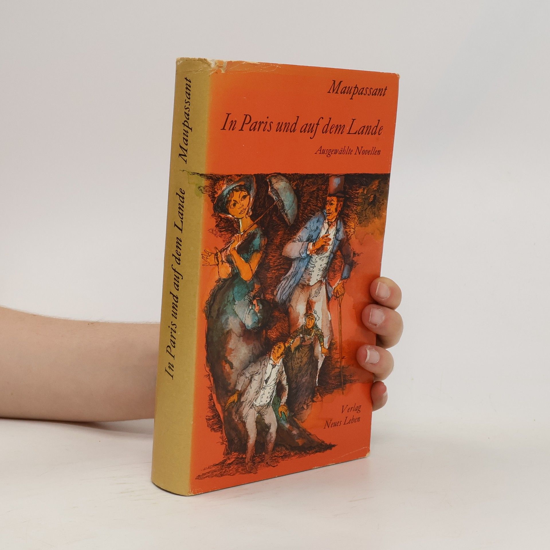 Guy de Maupassant In Paris und auf dem Lande : Ausgewählte Novellen