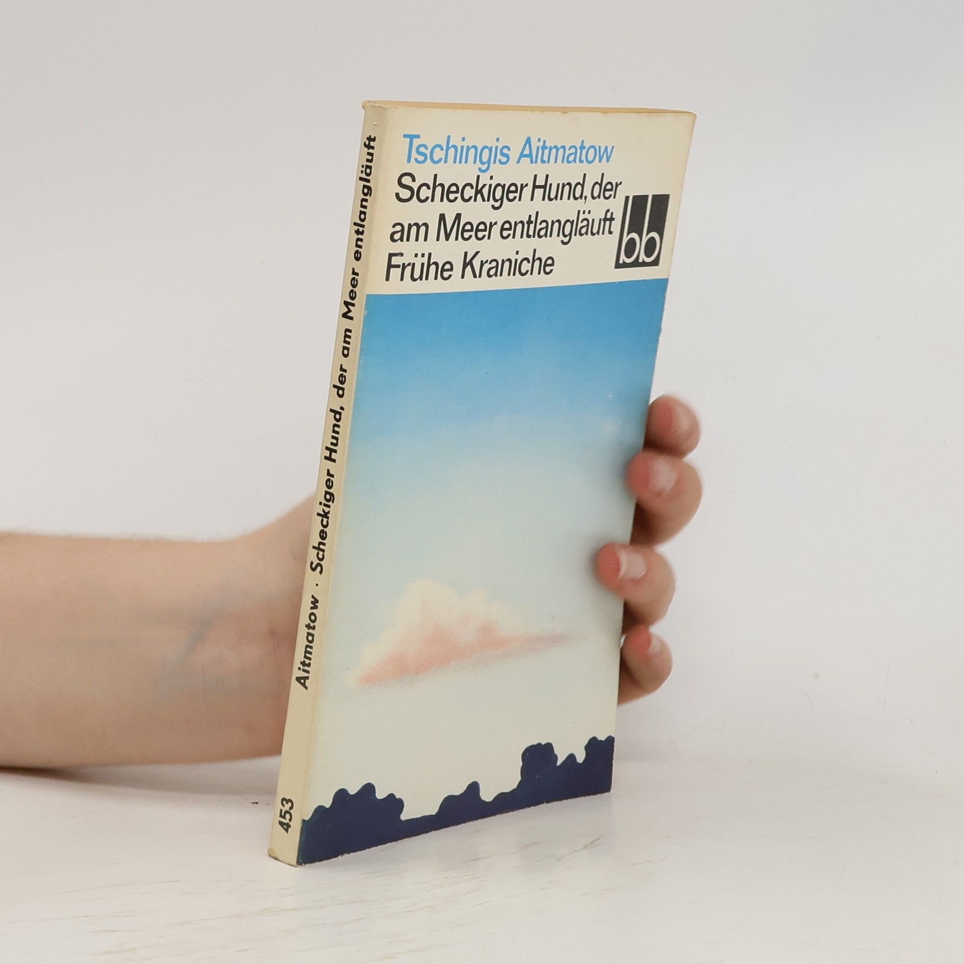 Čingiz Ajtmatov Scheckiger Hund, der am Meer entlangläuft