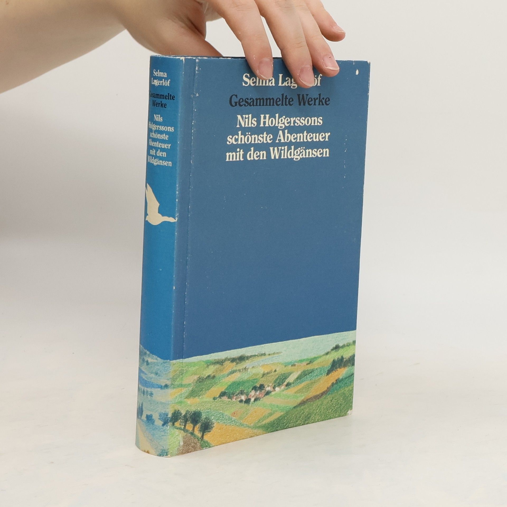 Selma Lagerlöf Gesammelte Werke. Nils Holgerssons schönste Abenteuer mit den Wildgänsen