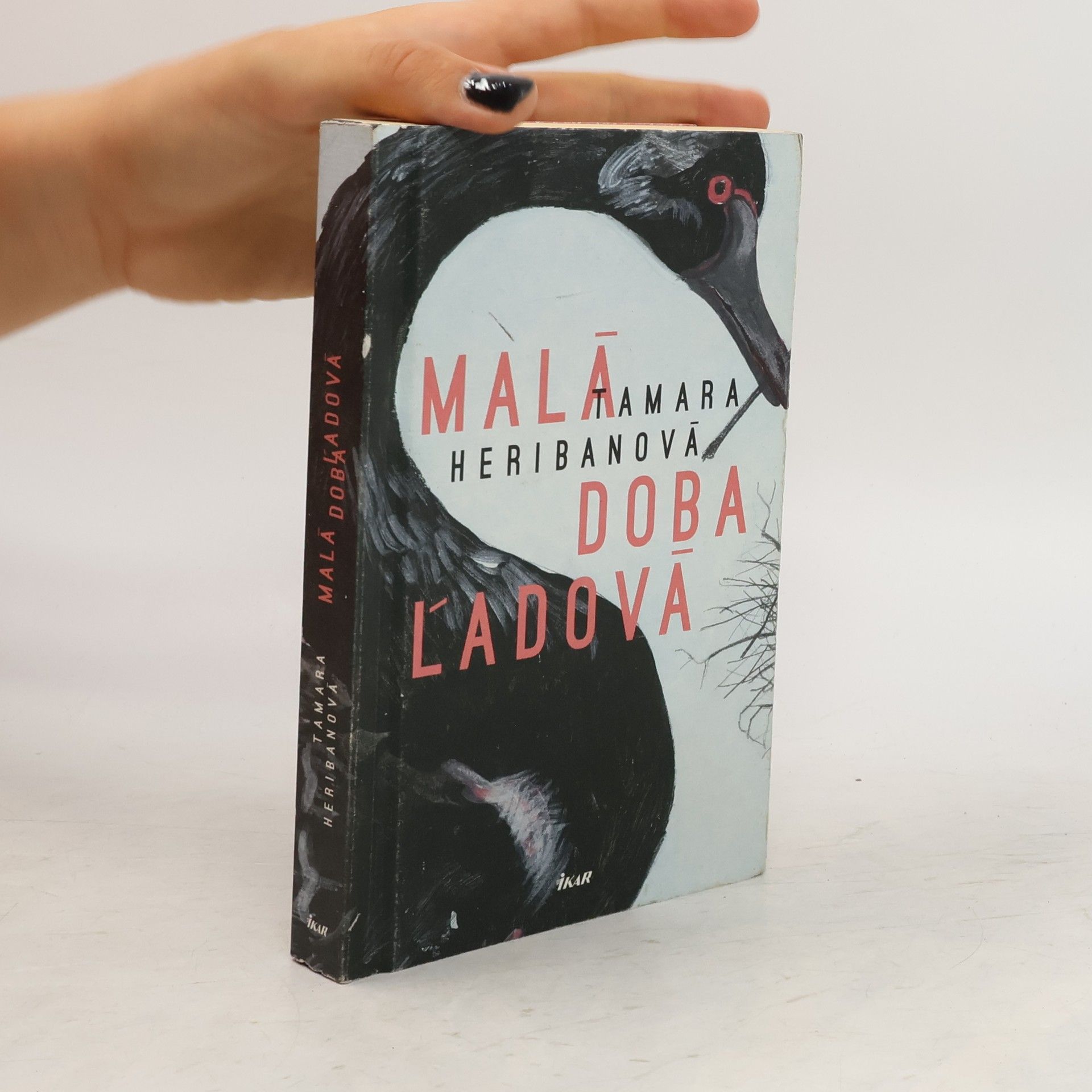 Tamara Heribanová Malá doba ľadová