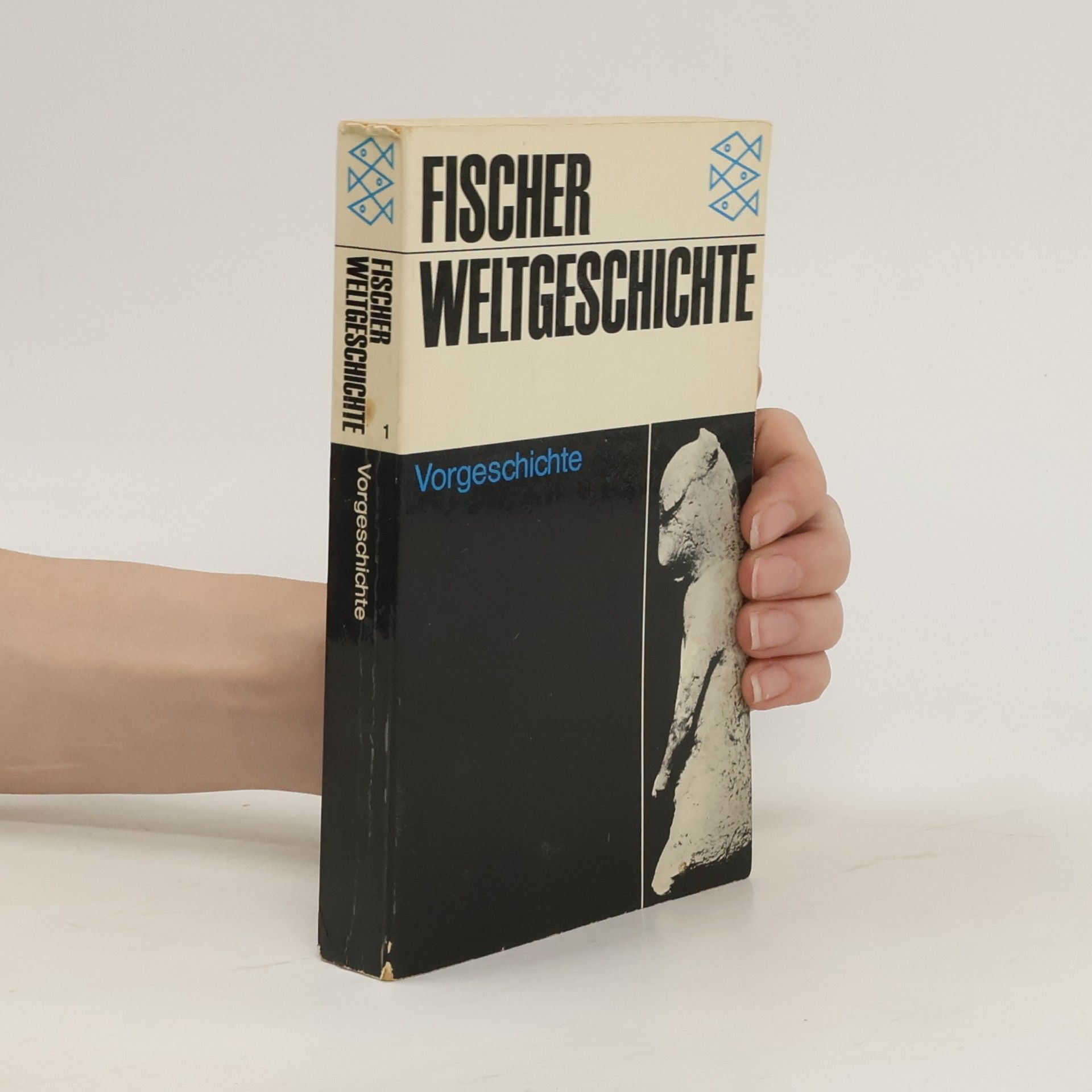 Collectif d'auteurs Fischer Weltgeschichte 1