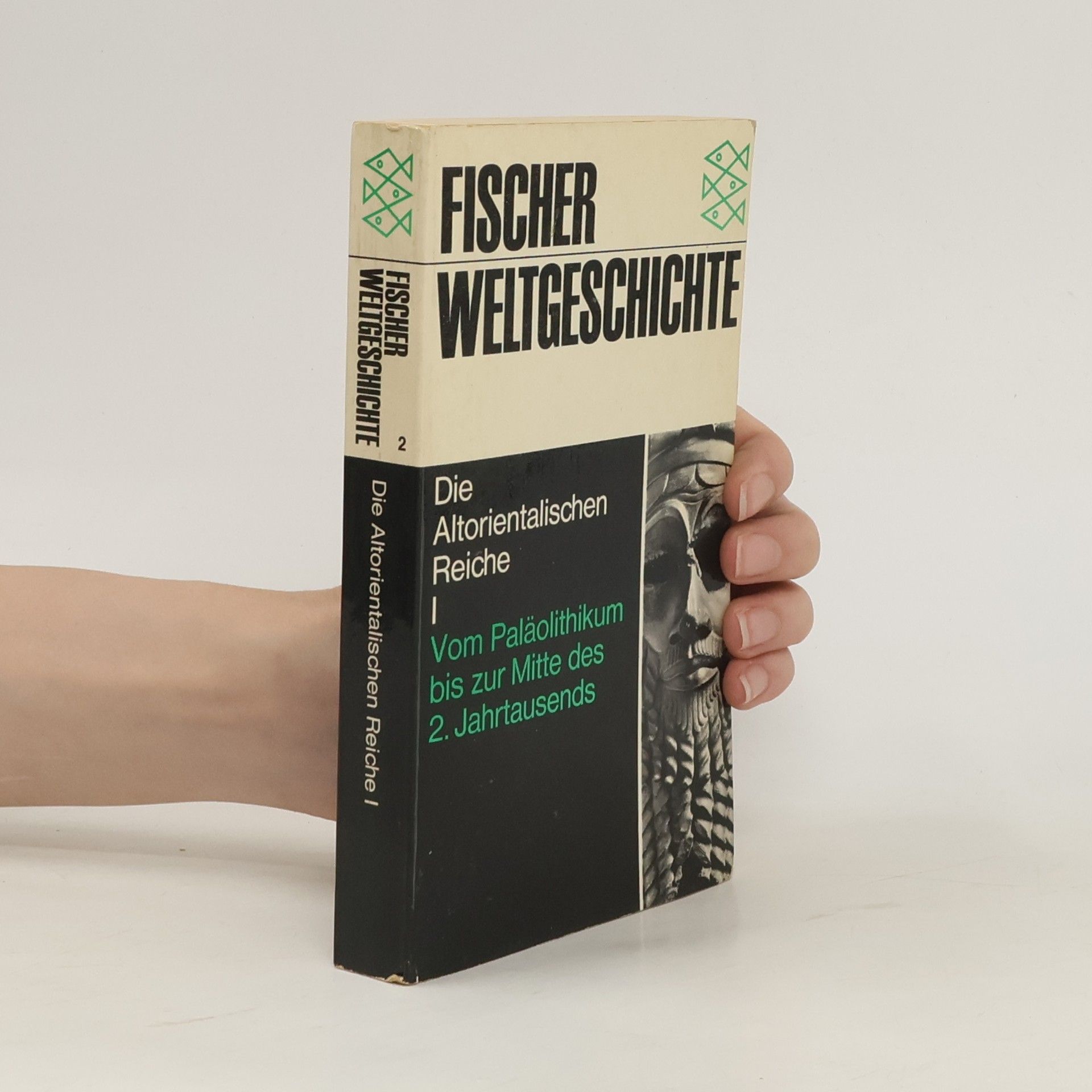 Jean Bottéro Die Altorientalischen Reiche I. Vom Paläolithikum bis zur Mitte des 2. Jahrtausends