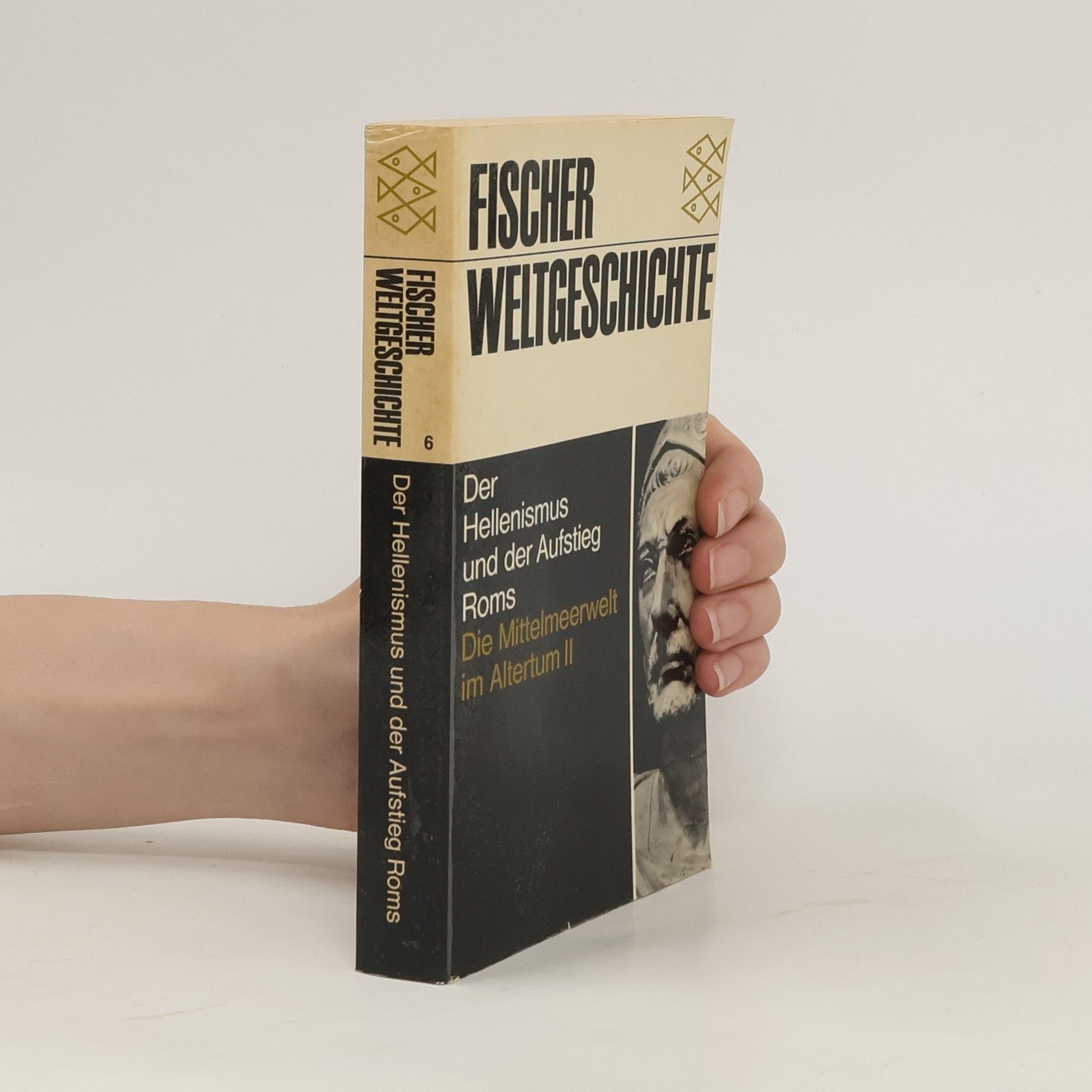 Pierre Bertaux Der Hellenismus und der Aufstieg Roms Band 6