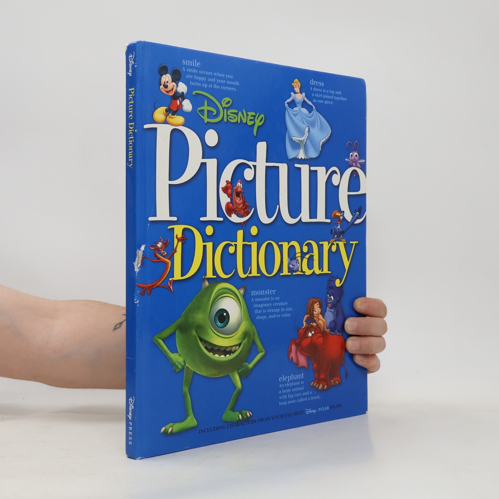 Thea Feldman Picture Dictionary