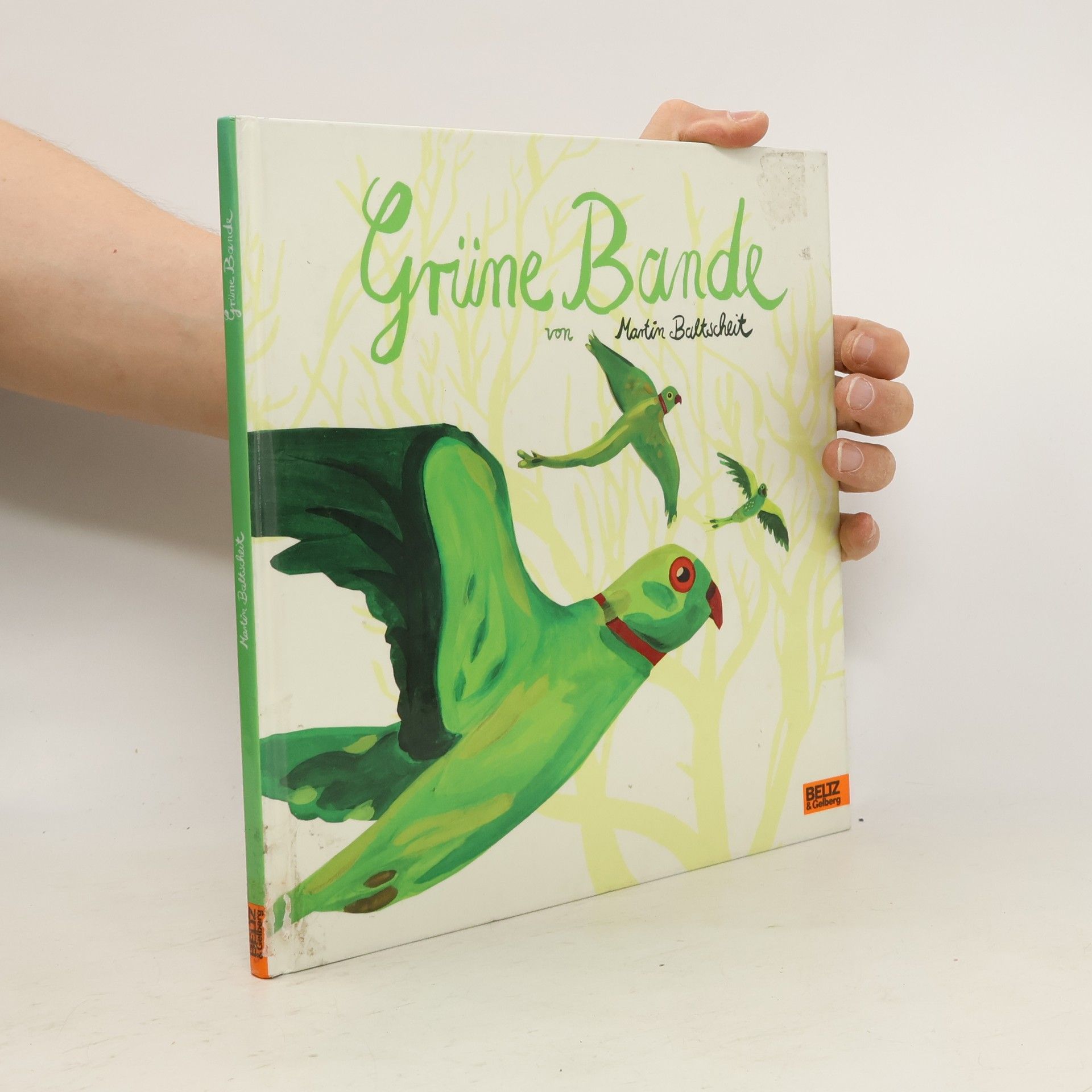 Martin Baltscheit Grüne Bande