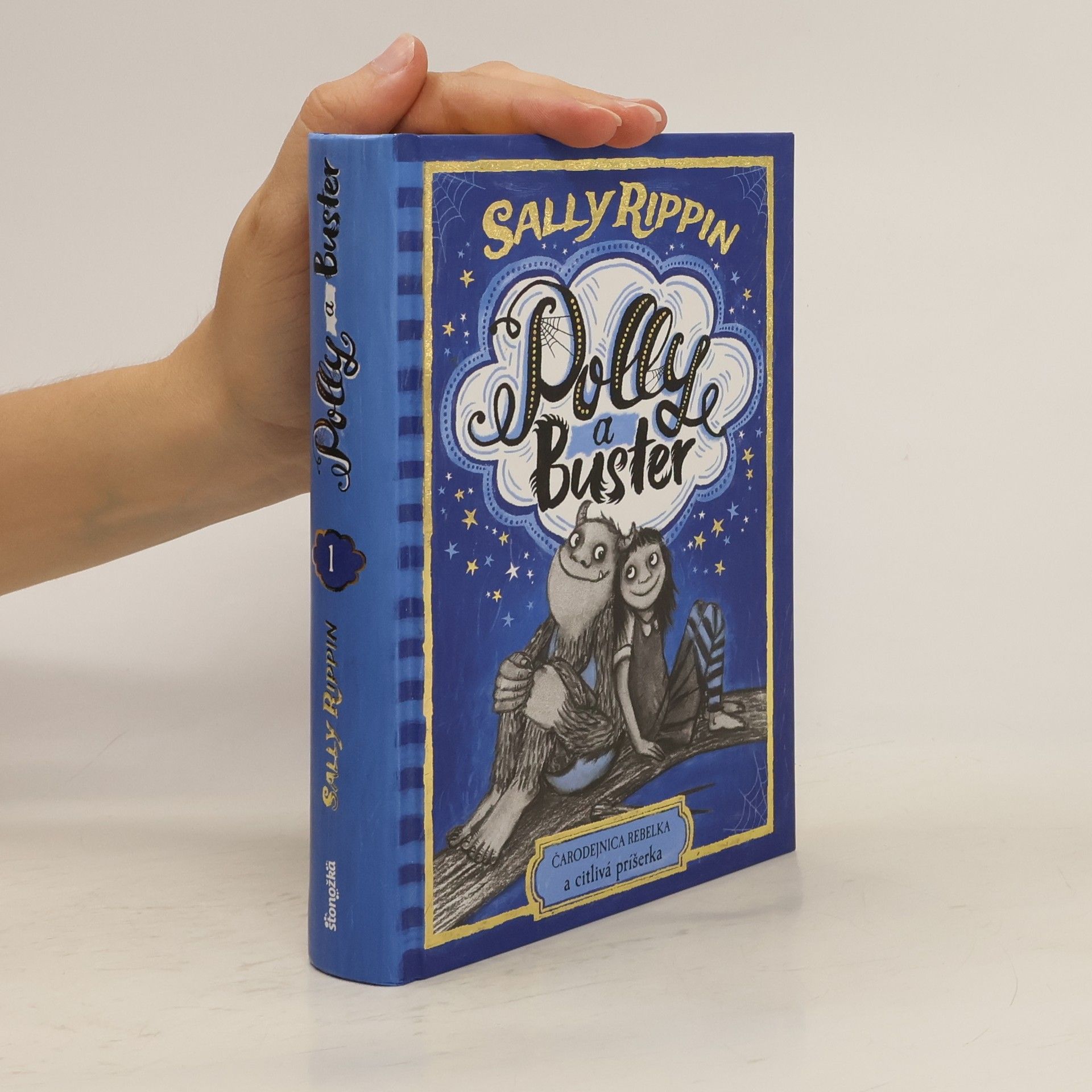 Sally Rippin Čarodejnica rebelka a citlivá príšerka