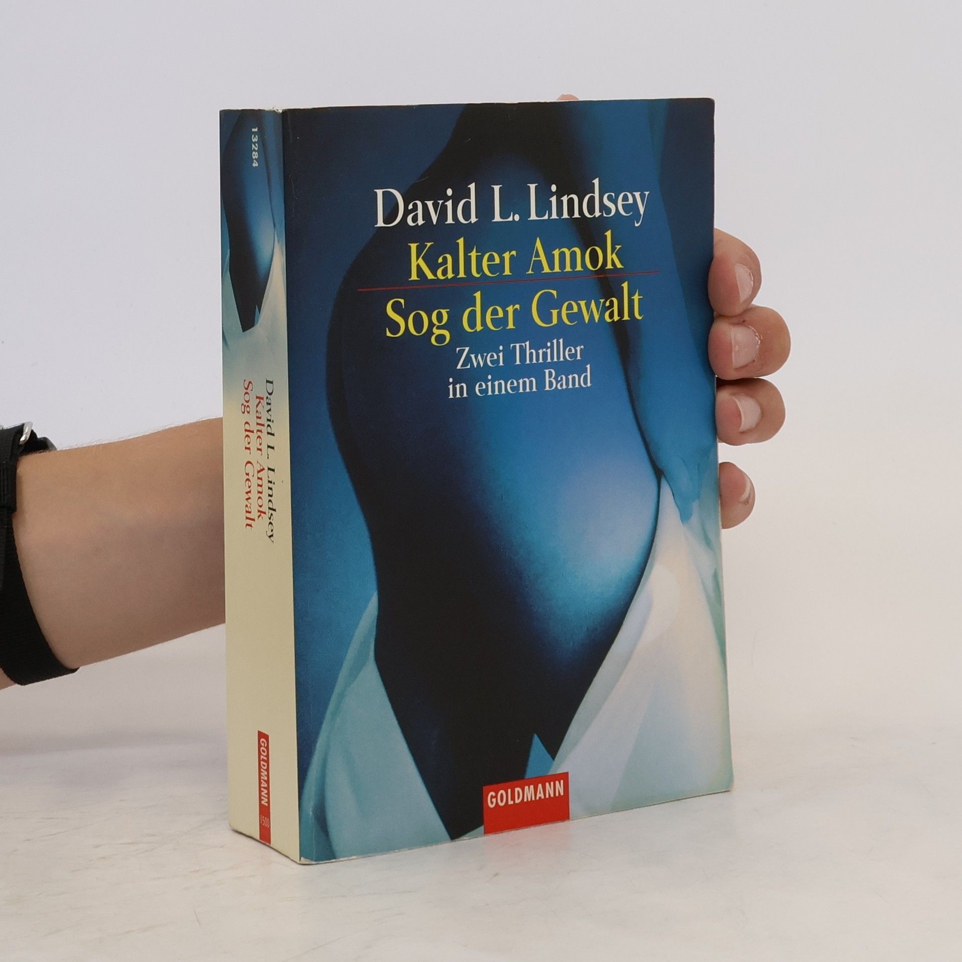 David L. Lindsey Kalter Amok. Sog der Gewalt