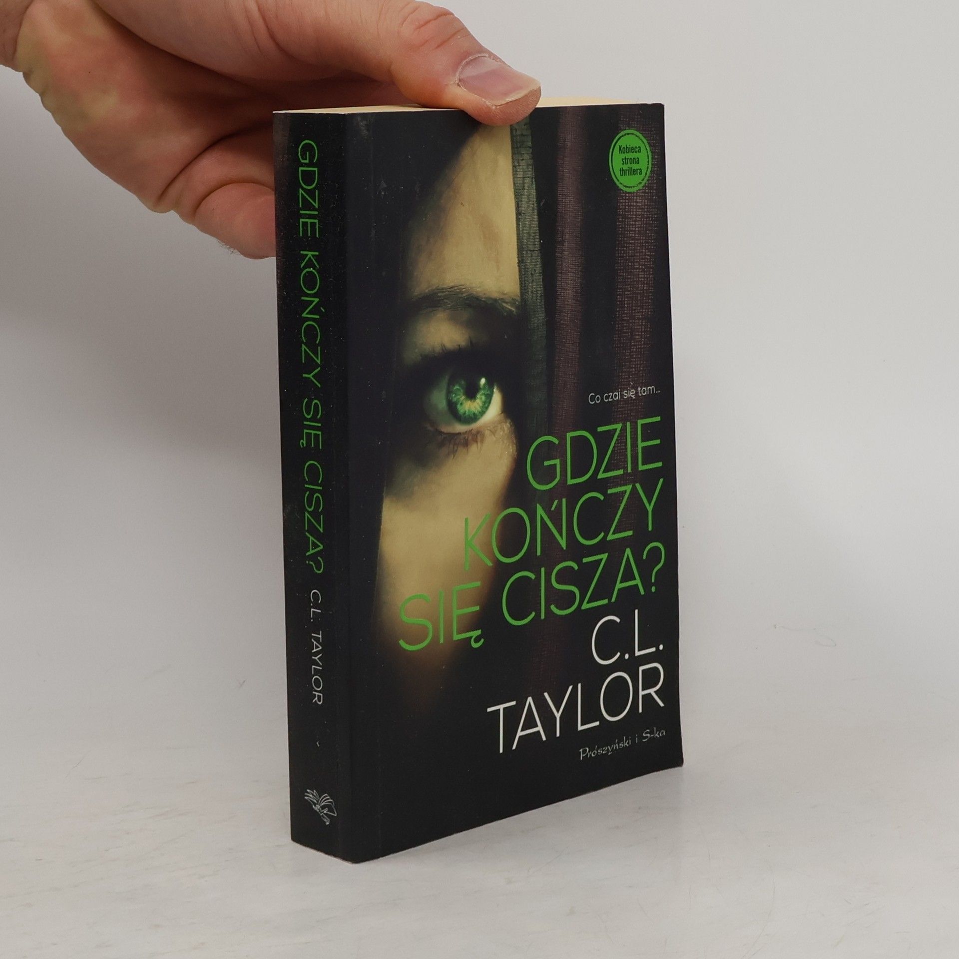C.L. Taylor Gdzie konczy sie cisza?