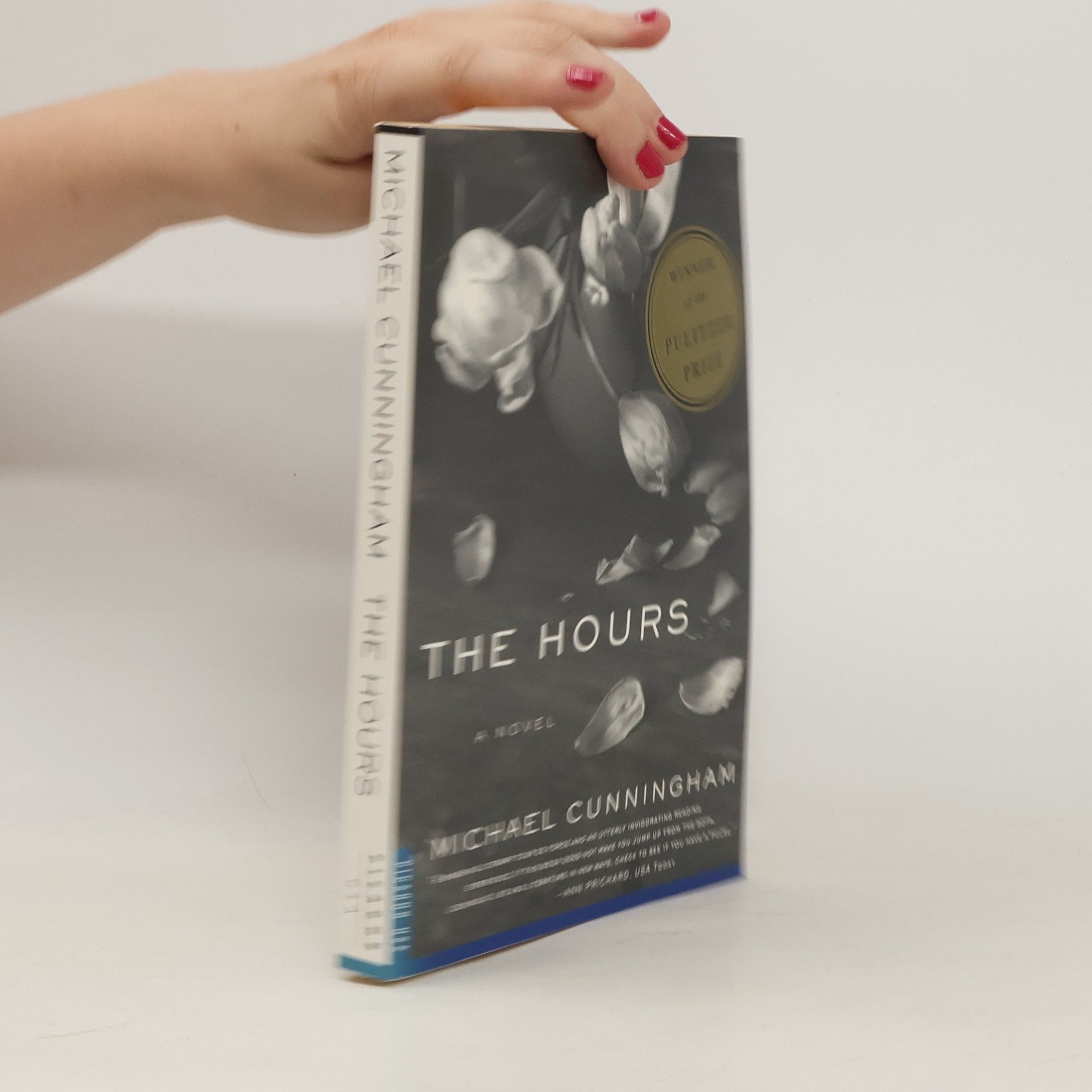 Michael Cunningham The hours