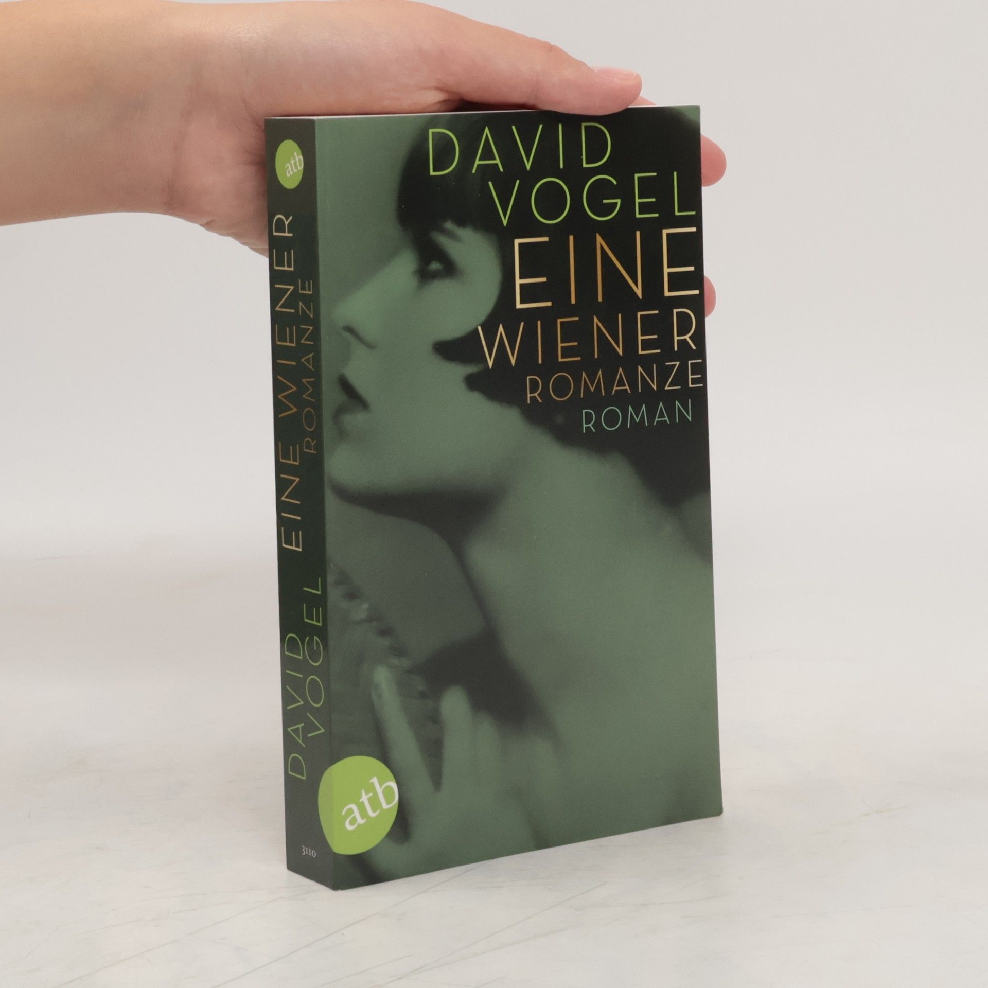 David Vogel Eine Wiener Romanze