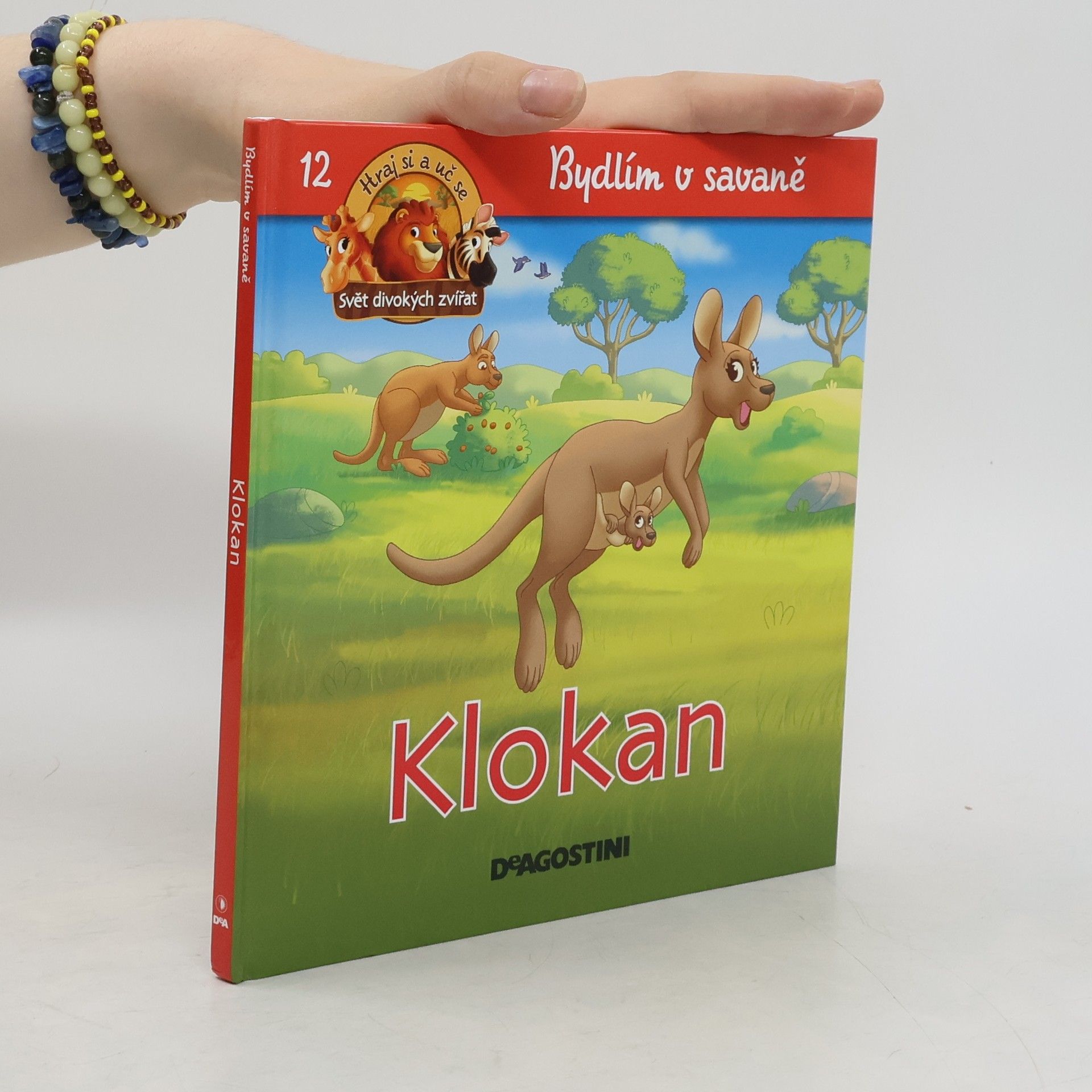 kolektiv Bydlím v savaně 12. Klokan