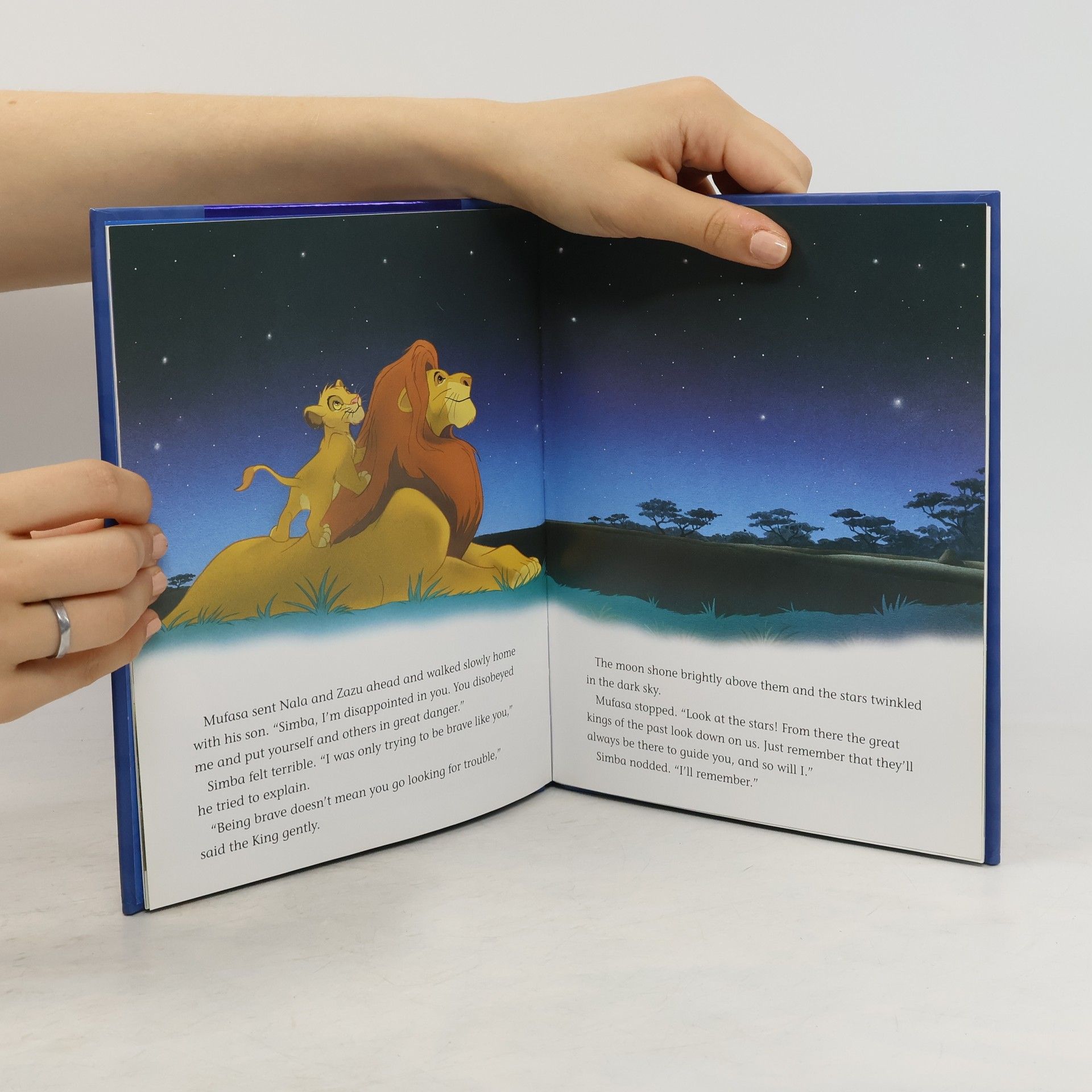 Autorenkollektiv The Lion King. The Magical Story