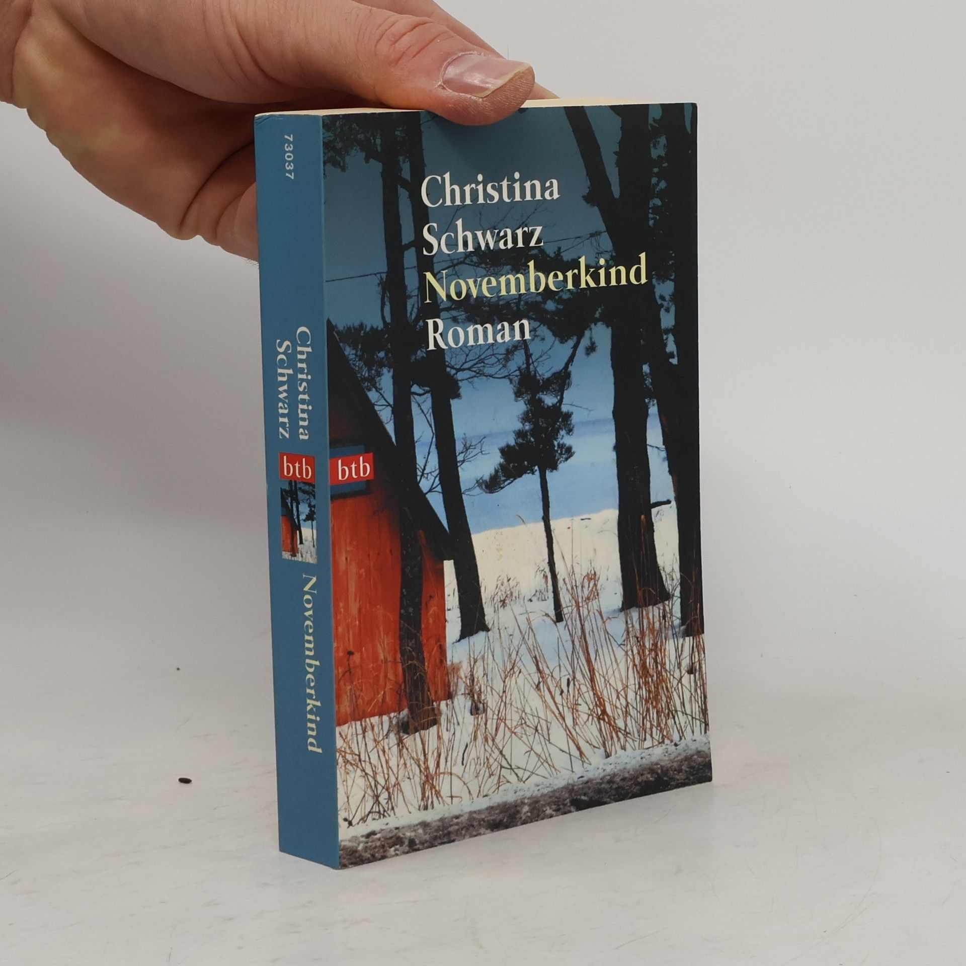 Christina Schwarz Novemberkind