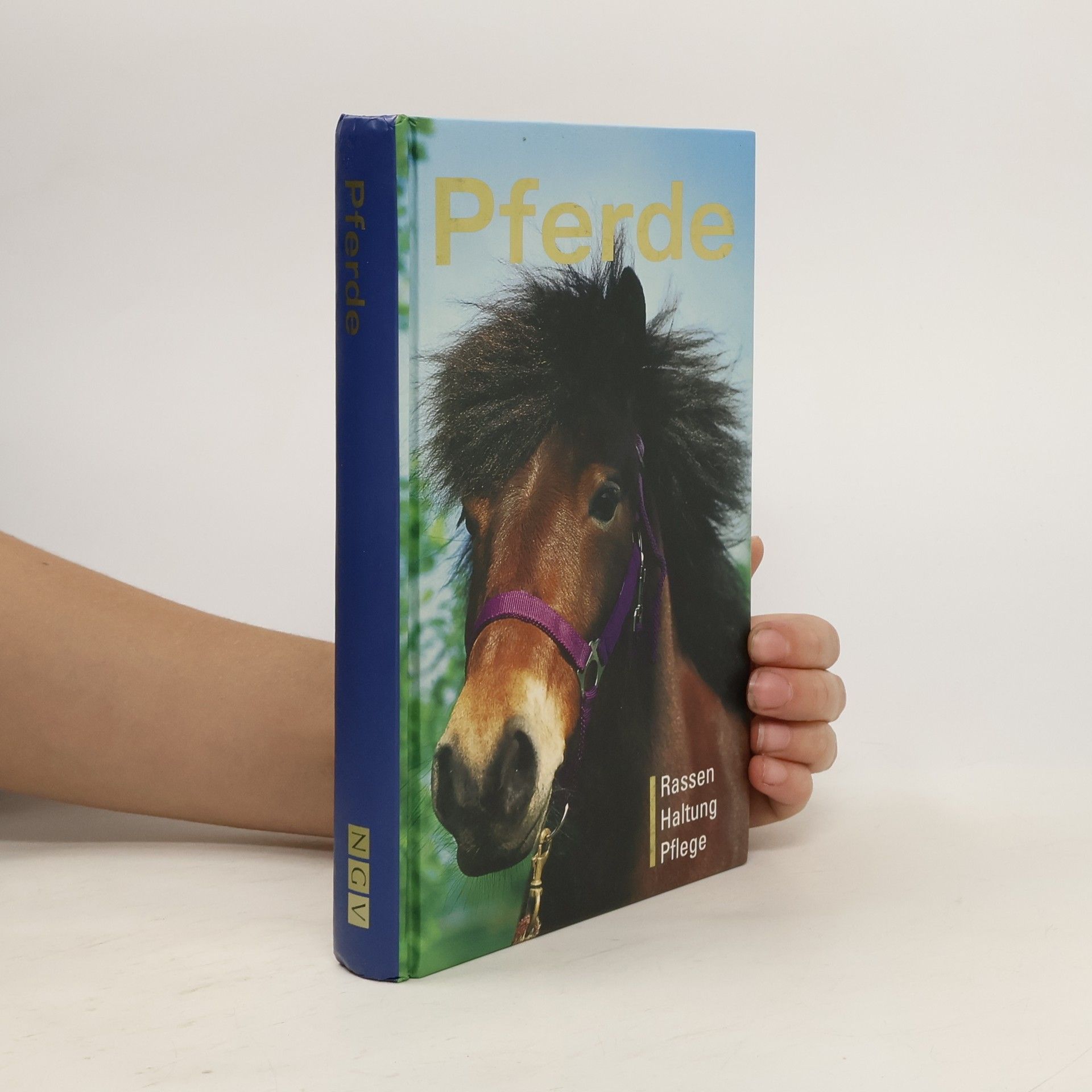 Collective Pferde