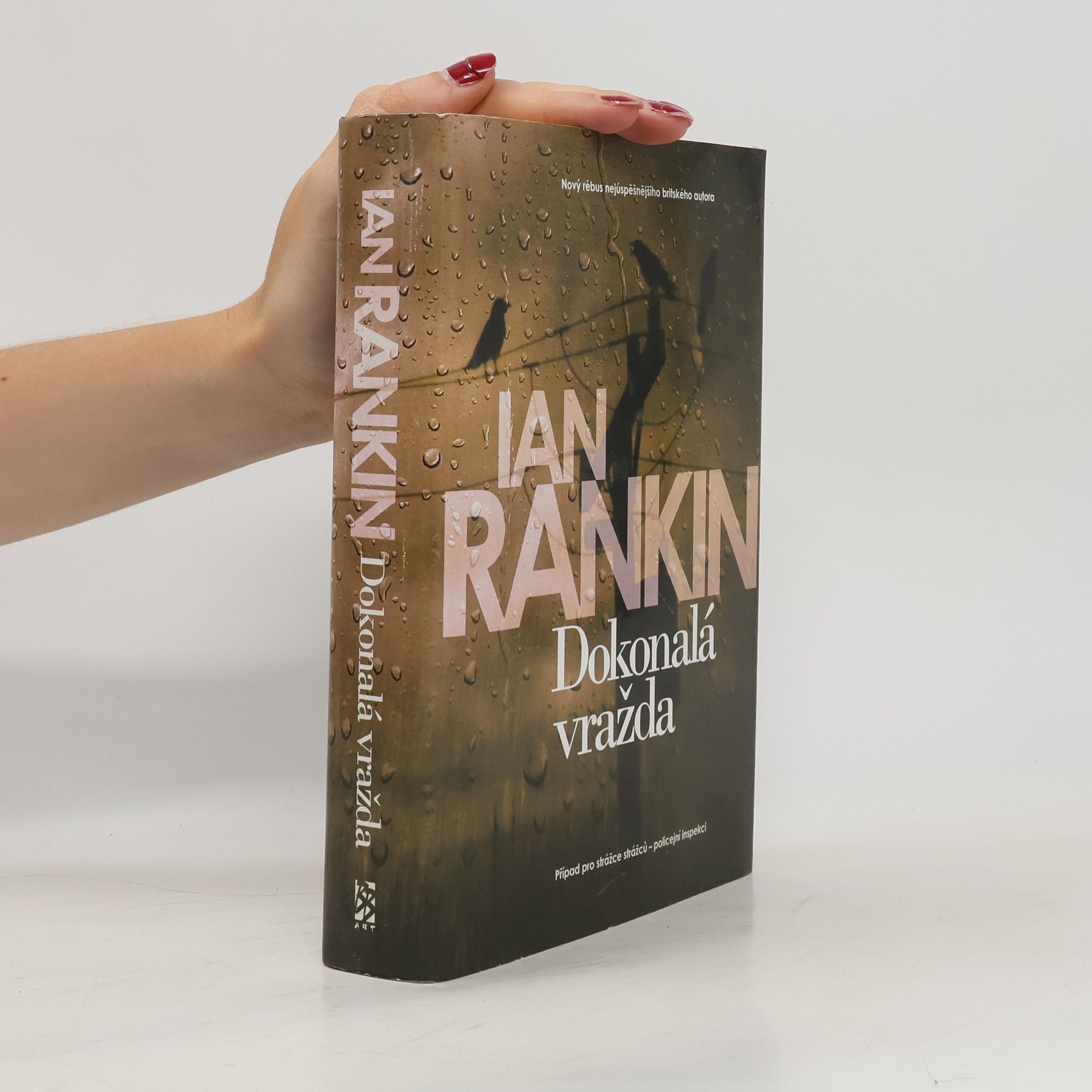 Ian Rankin Dokonalá vražda