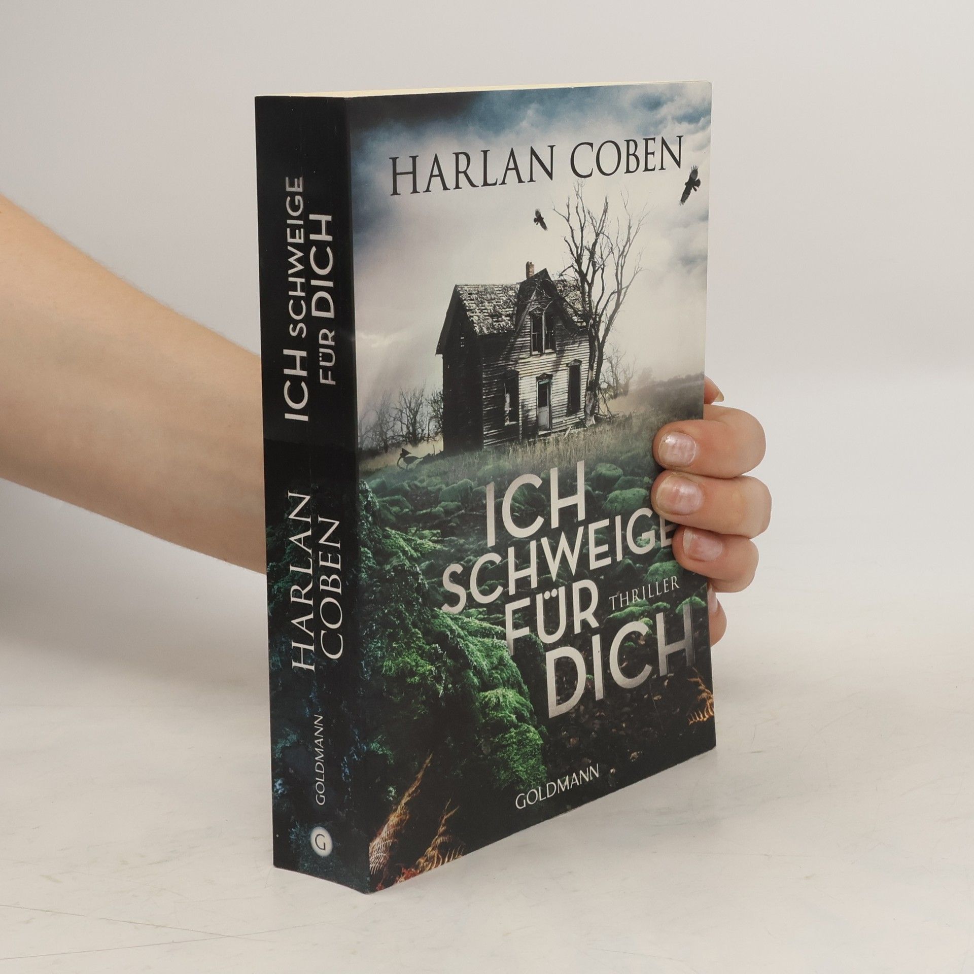 Harlan Coben Ich Schweige für dich