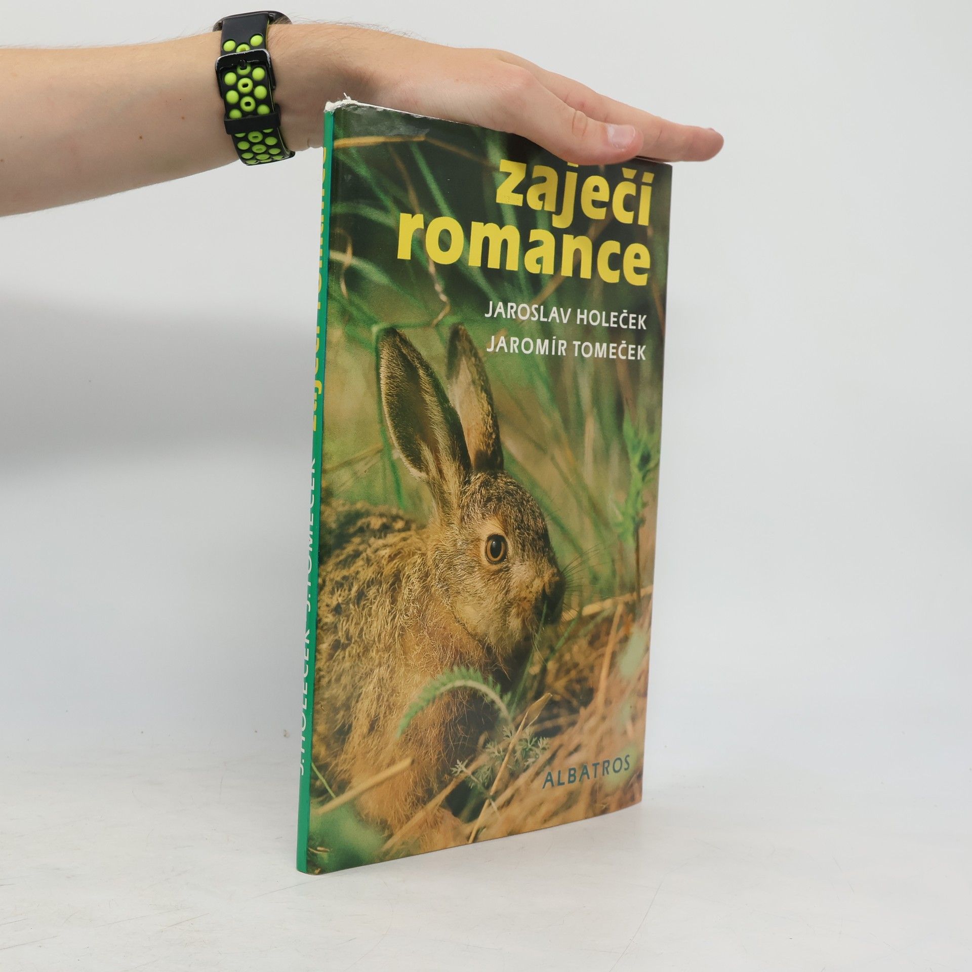Jaroslav Holeček Zaječí romance
