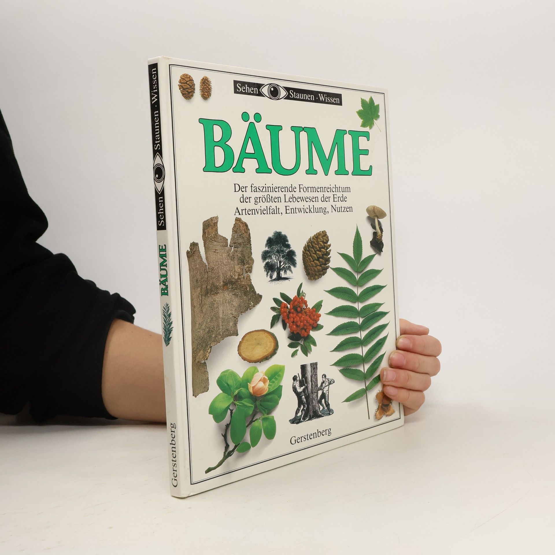 kolektiv Bäume