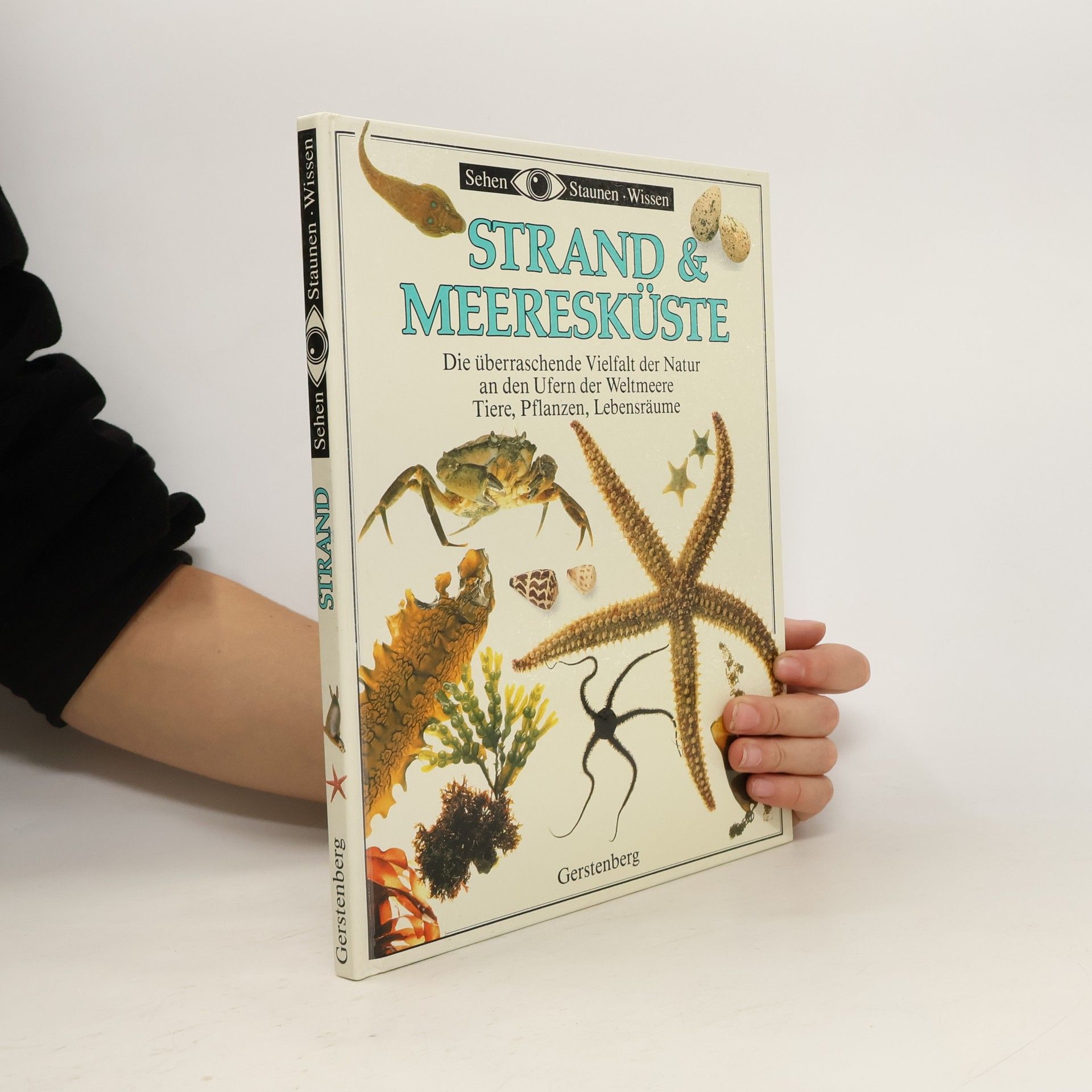 Steve Parker Strand & Meeresküste
