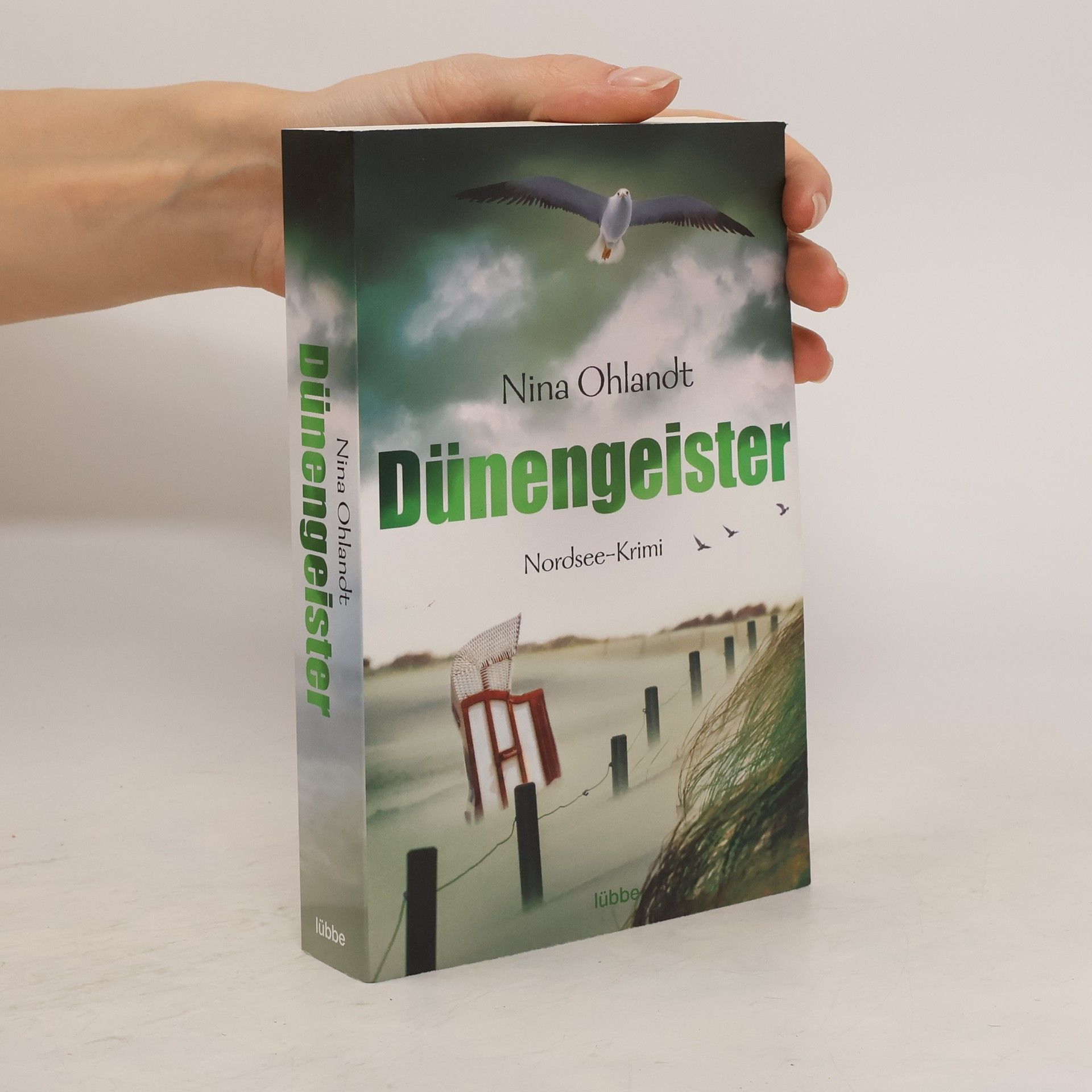 Nina Ohlandt Dünengeister