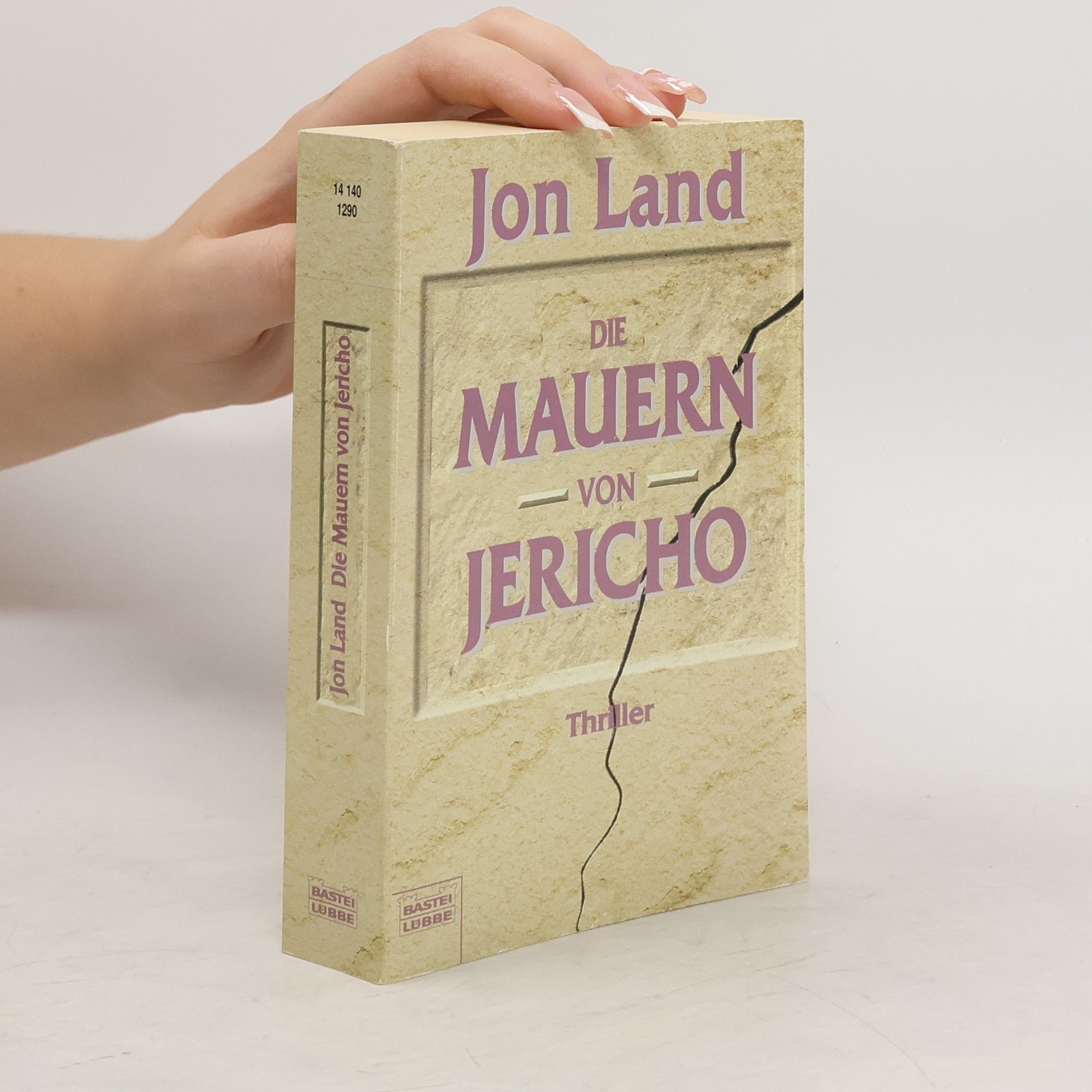 Jon Land Die Mauern von Jericho